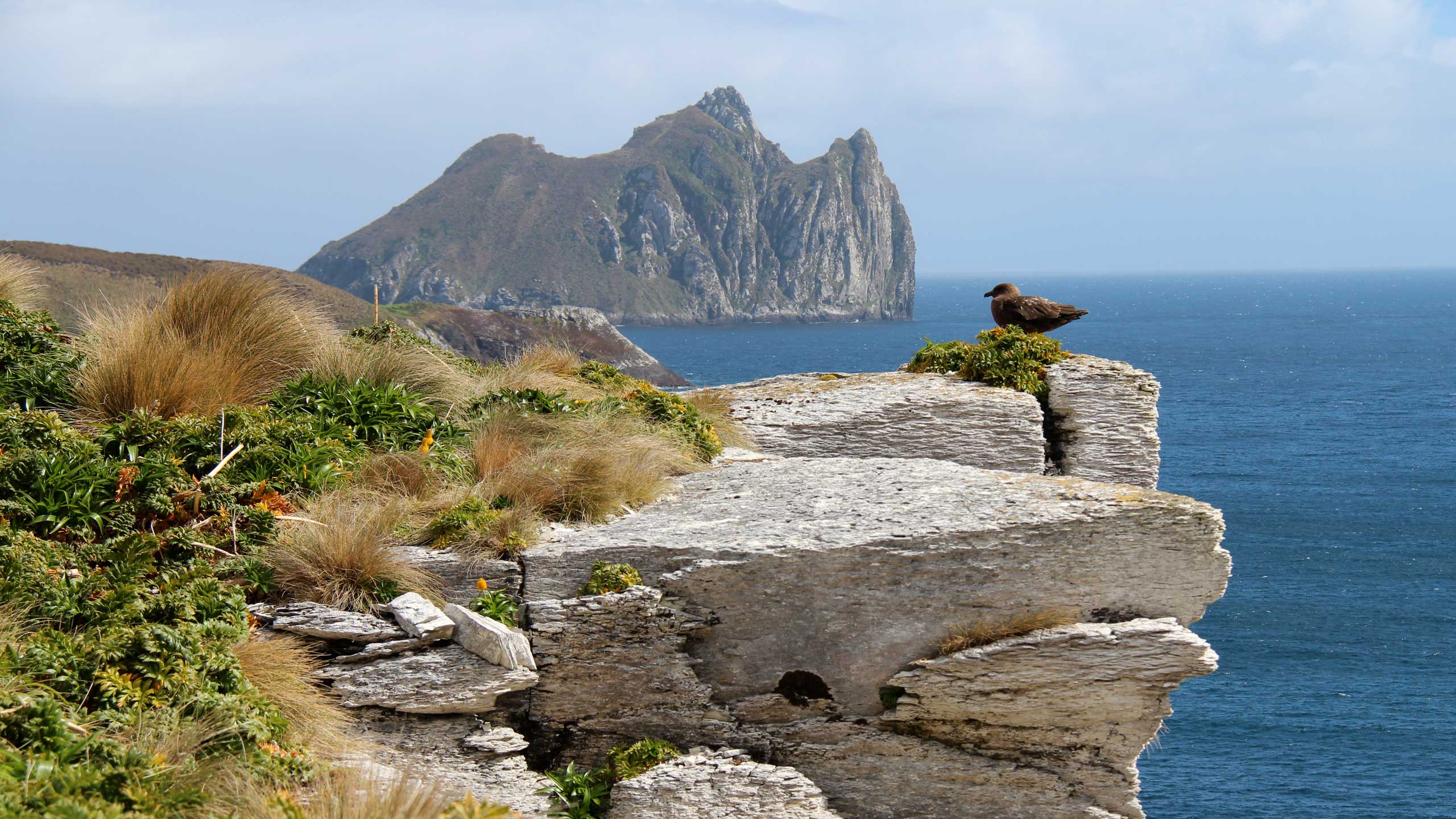 Subantarctic Islands