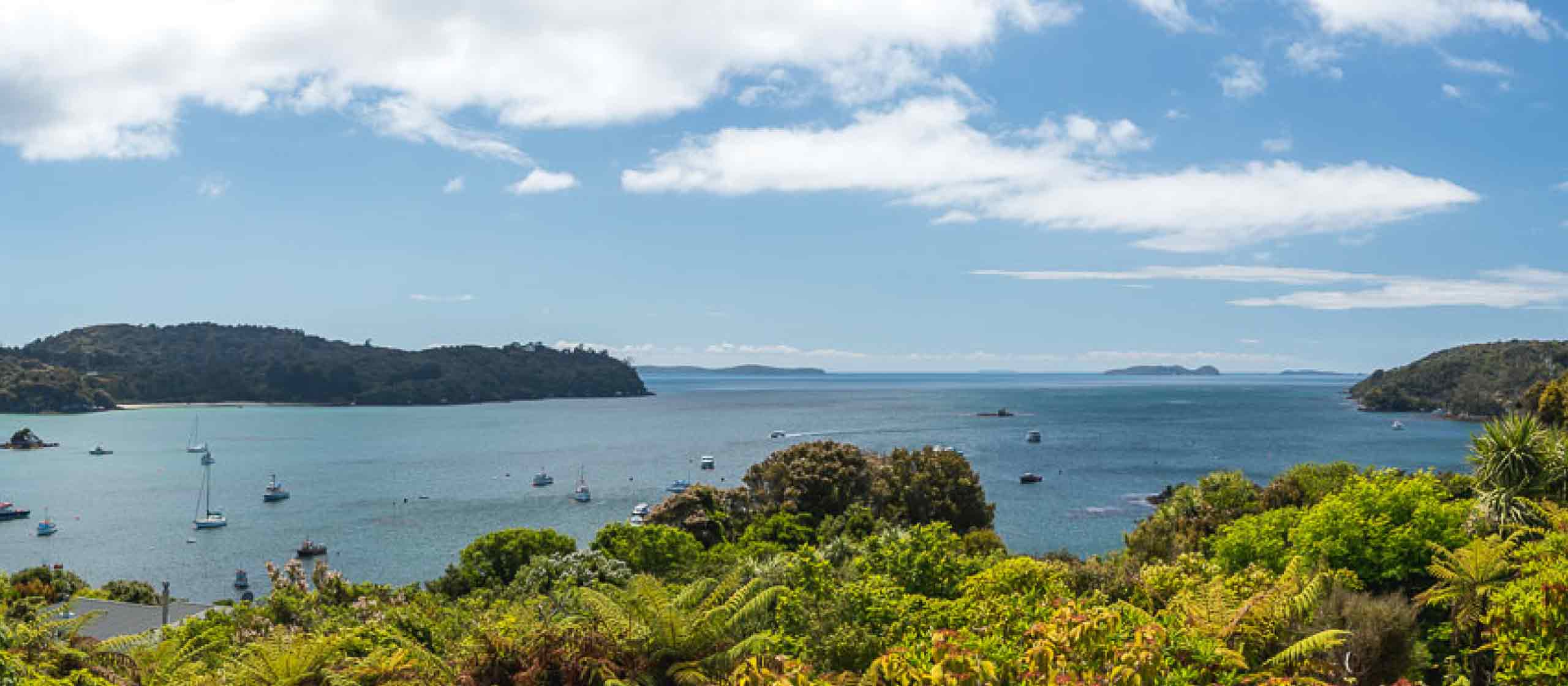 Stewart Island & Ulva Island