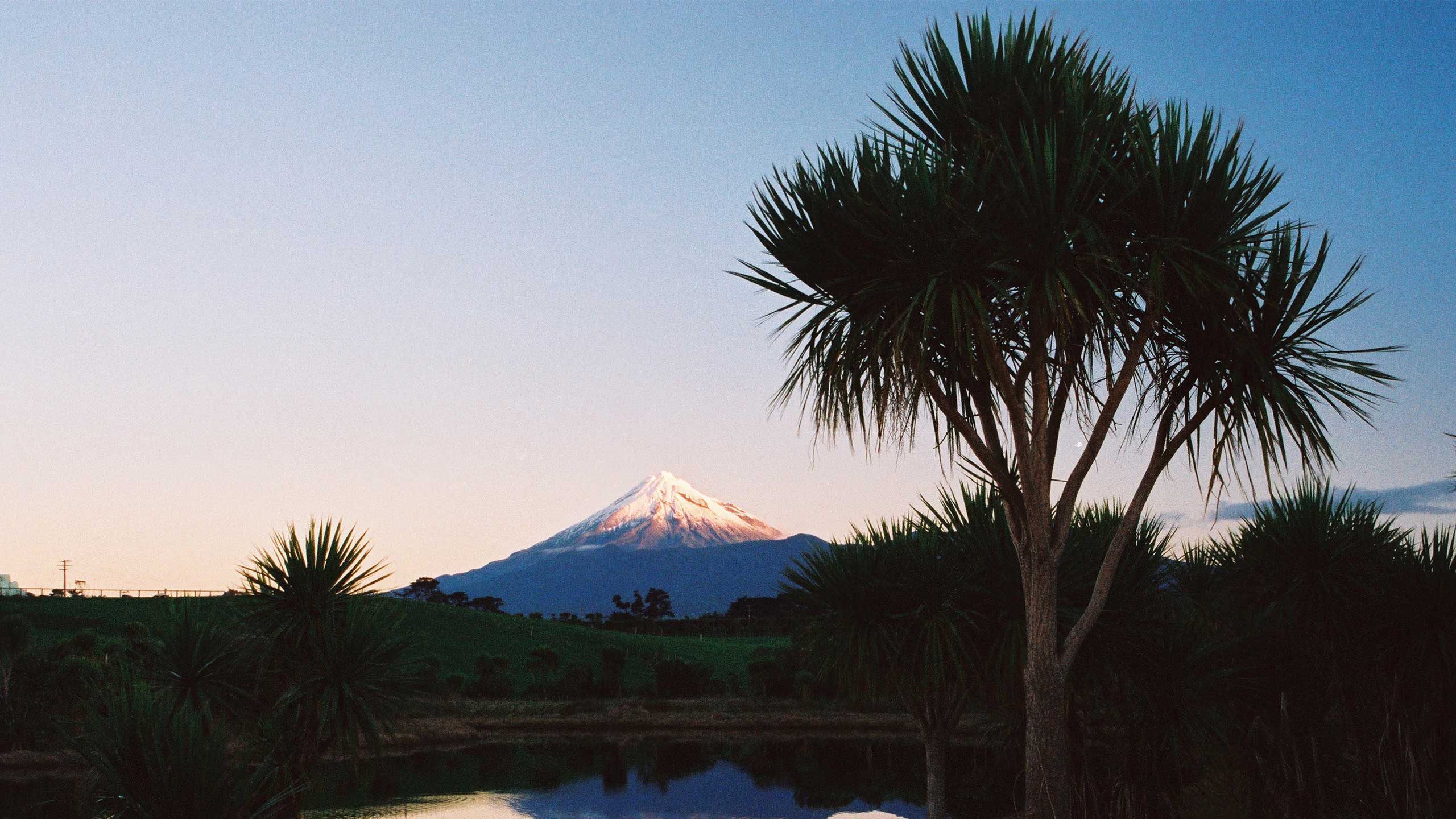 Taranaki