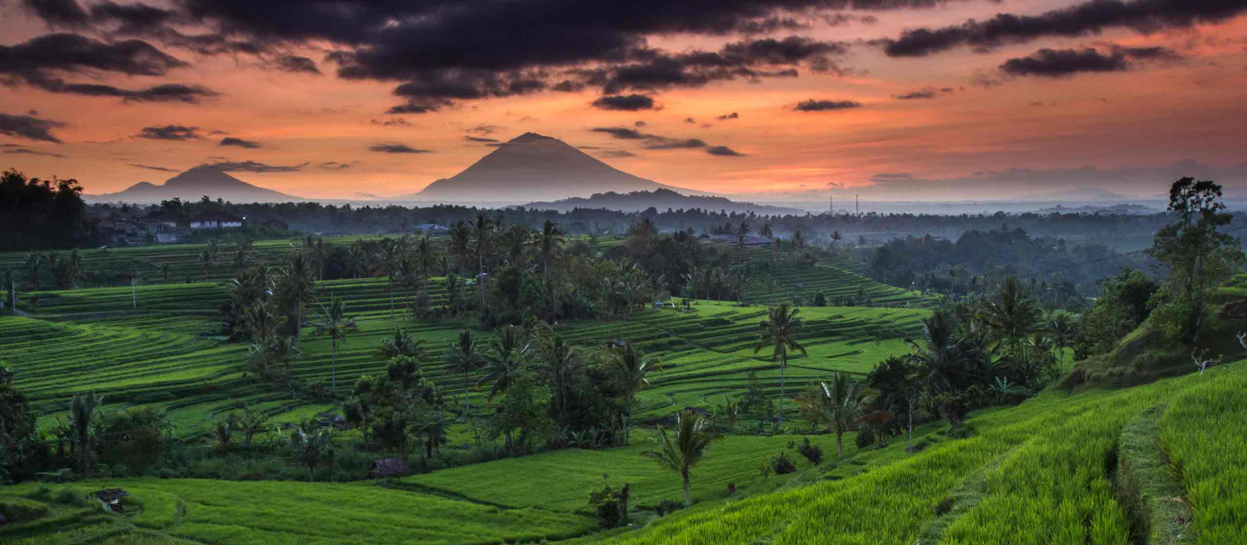 Bali