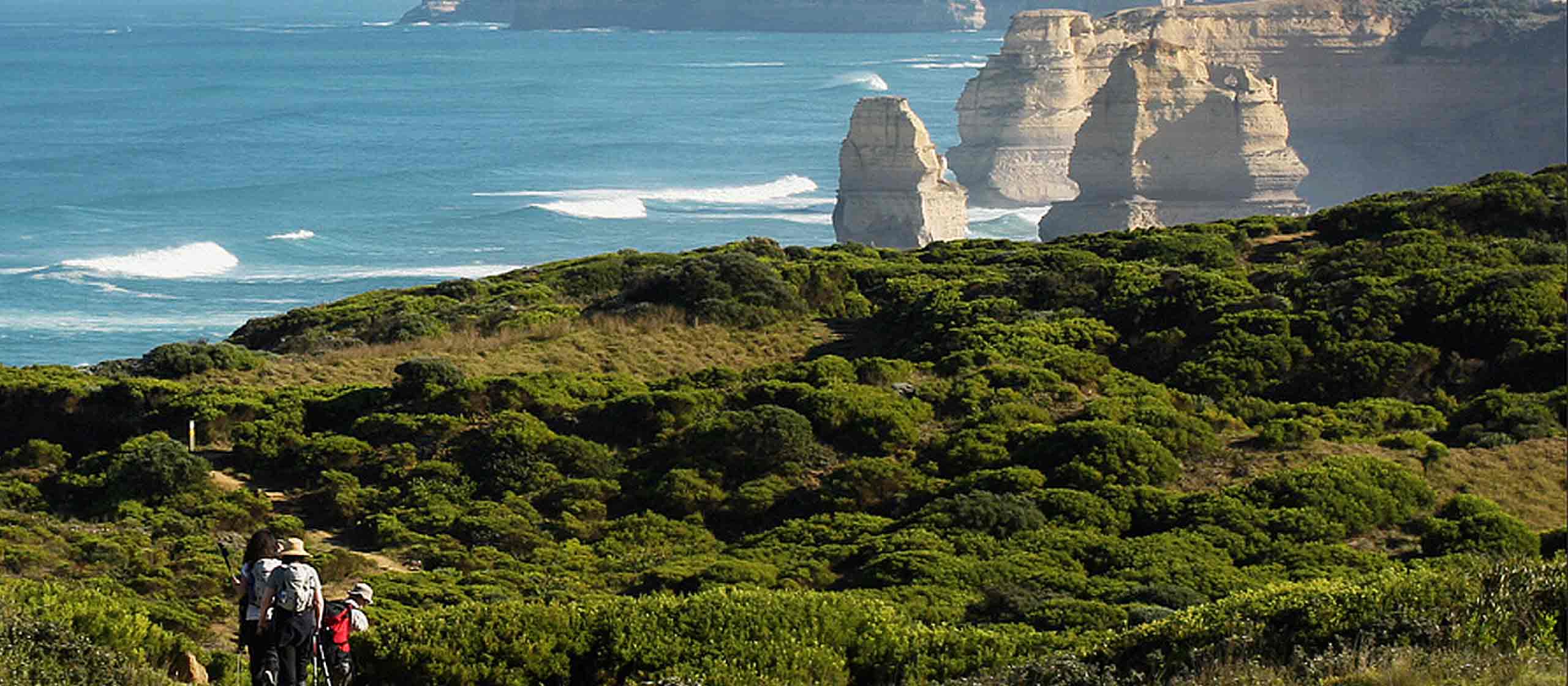 Great Ocean Walk & 12 Apostles