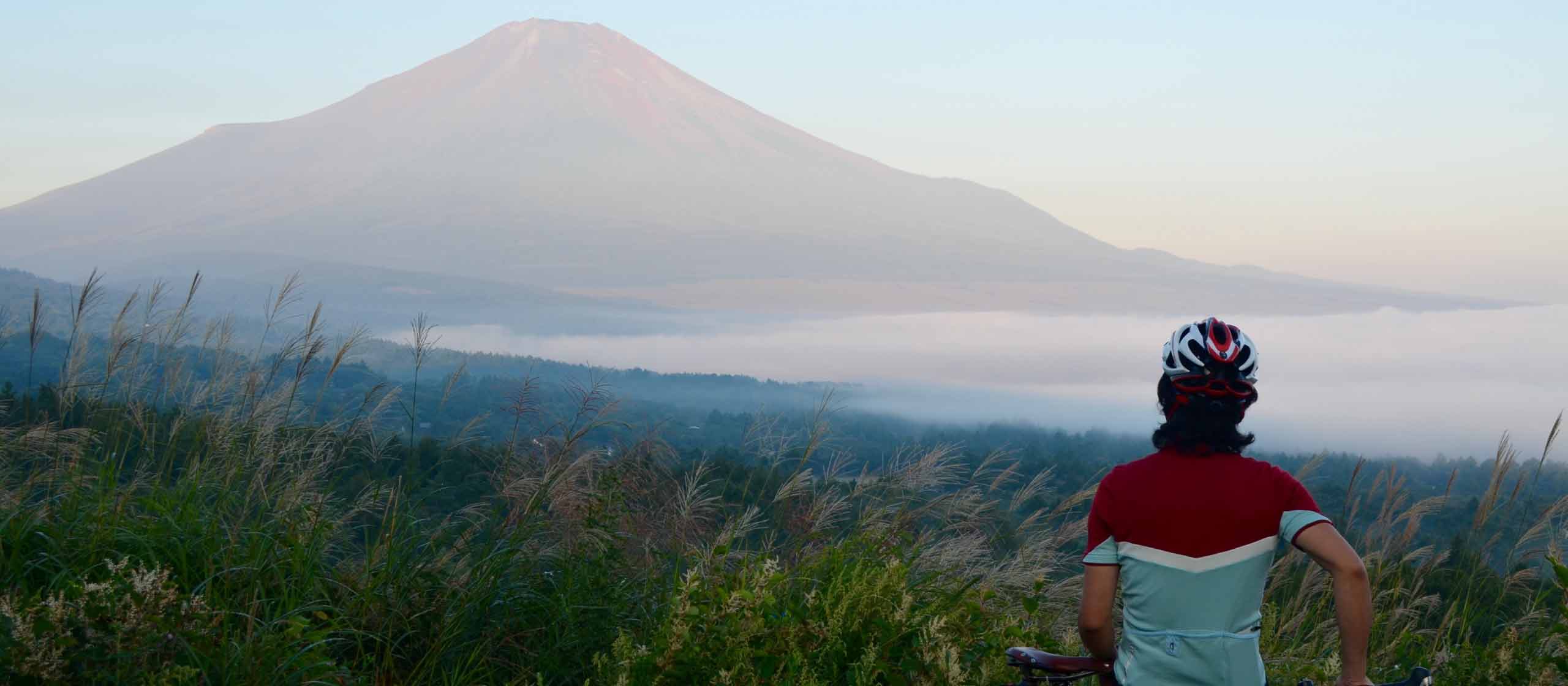 Mt Fuji & Fuji Five Lakes