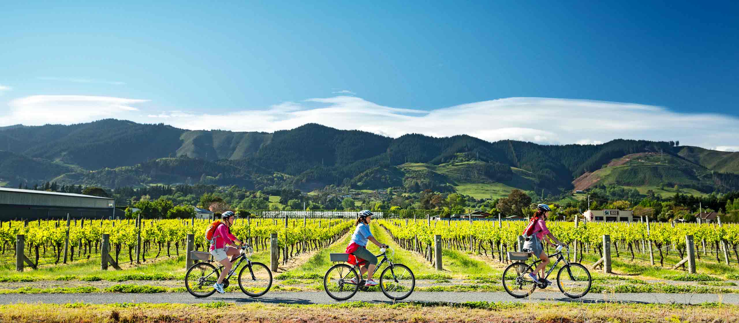 Tasman's Great Taste Trail