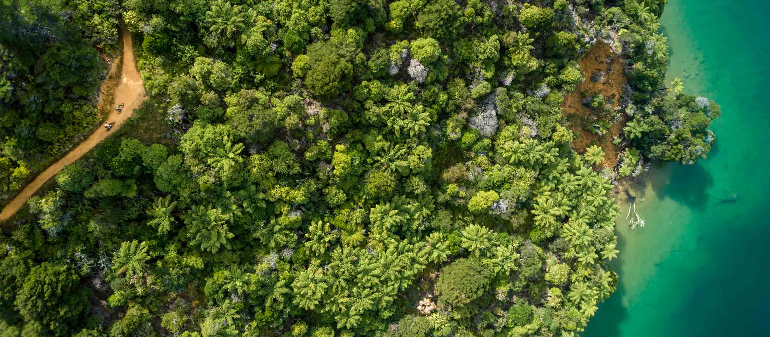 Queen Charlotte Track