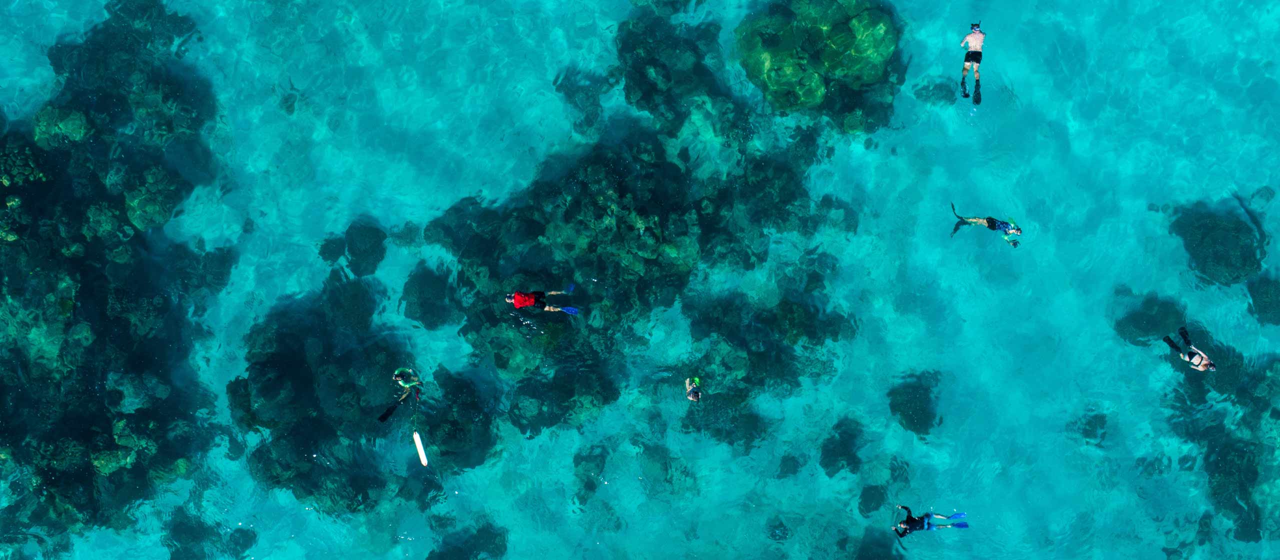 West Coast / Ningaloo Reef