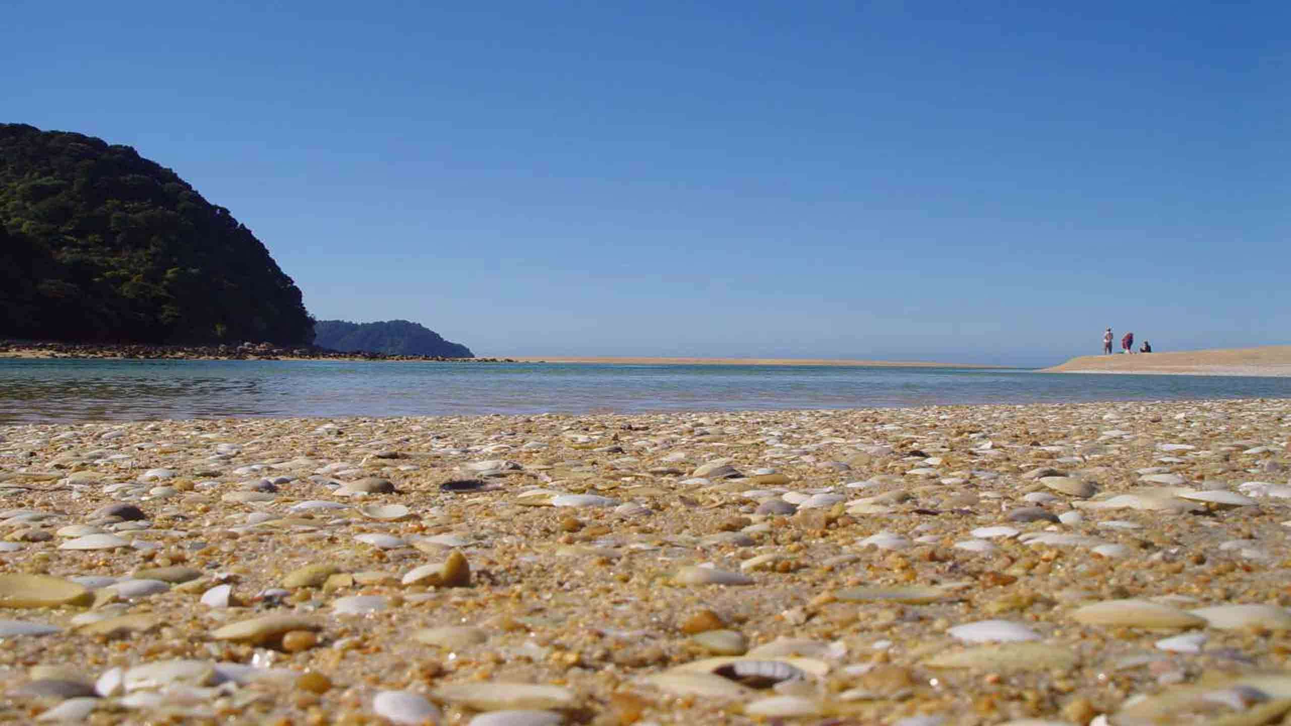 The Classic Abel Tasman Coast Track Walk 5D4N, Fully Guided