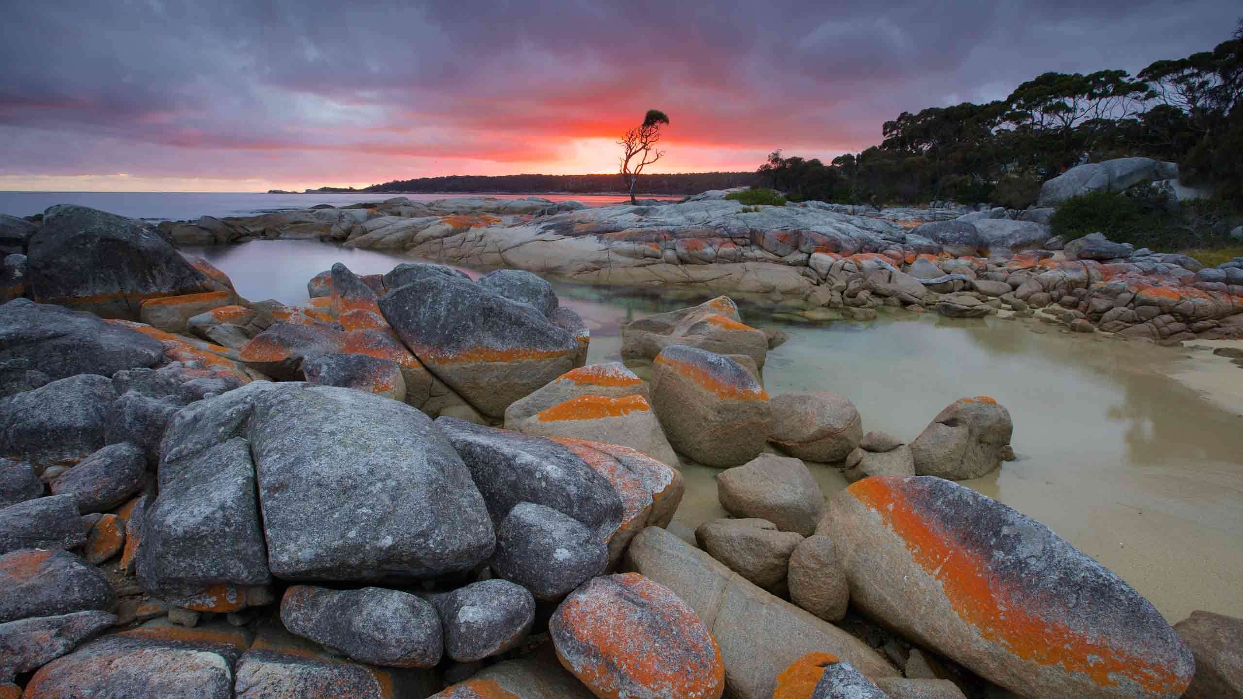 Bay of Fires Walk 3D2N, Fully Guided