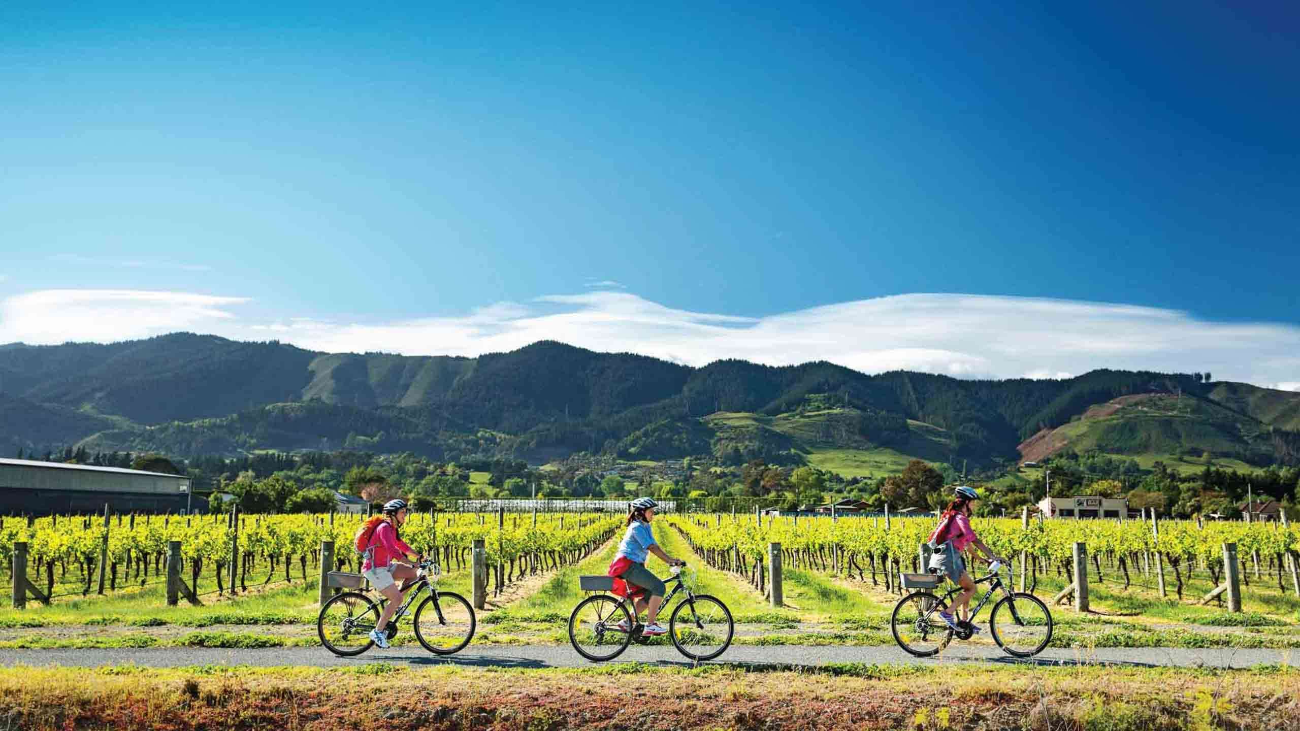 The Best of Tasman's Great Taste Trail Cycling 3D2N, Self Guided