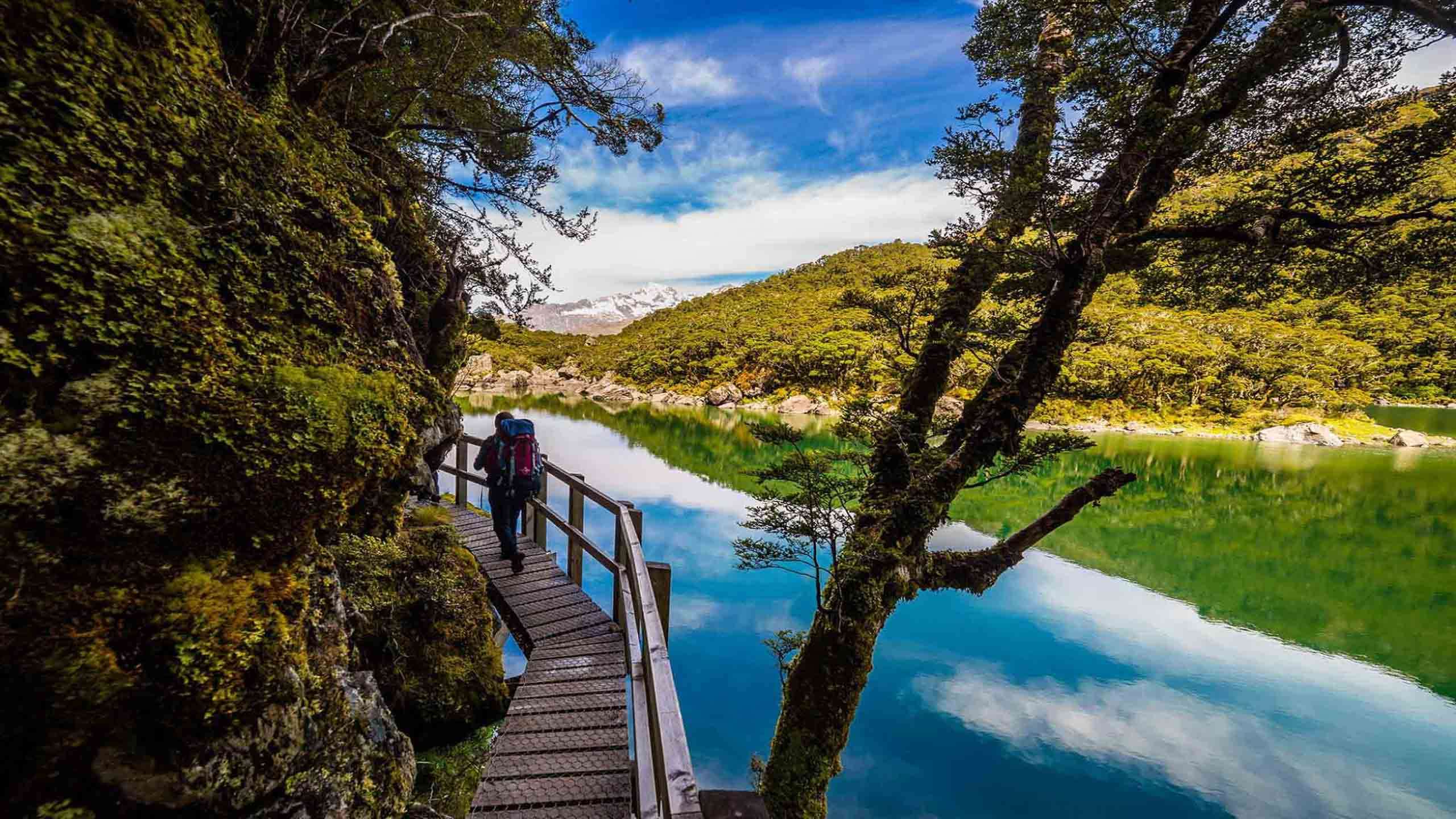 Best of Queenstown 3D2N - Milford Sound Cruise & Fly, Routeburn & Ben Lomond Walks, Fully Guided