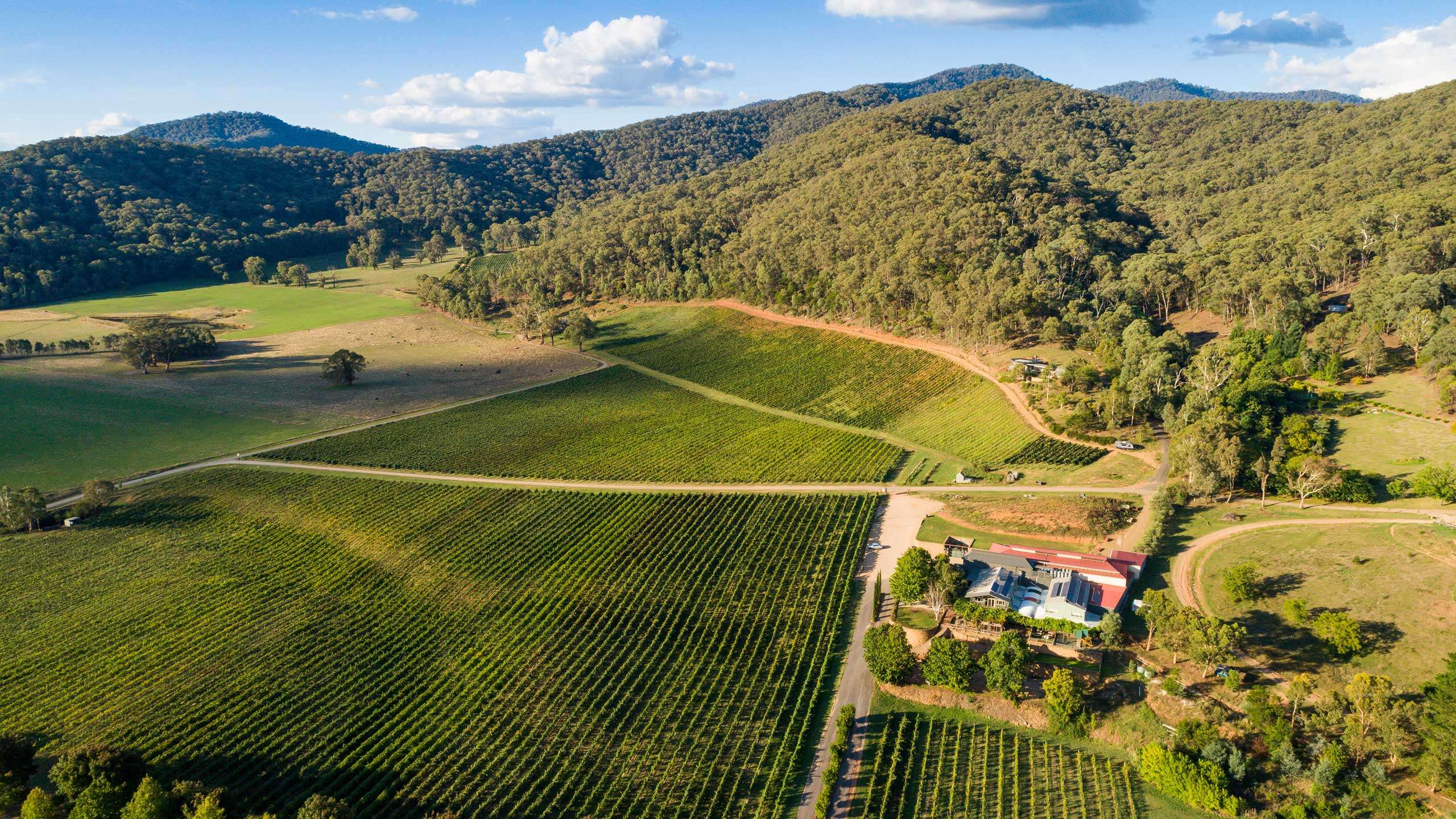 Feathertop Wines & Cycle 3D2N