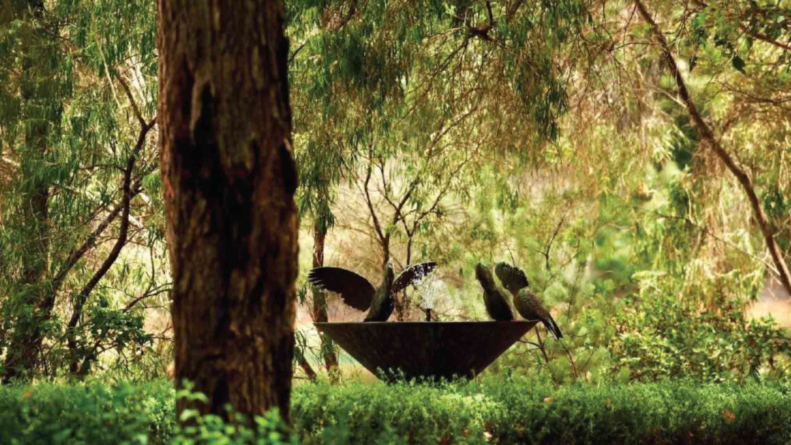 Cape to Cape Ultimate Luxury Walk + Cape Lodge 3D2N, Private Guided