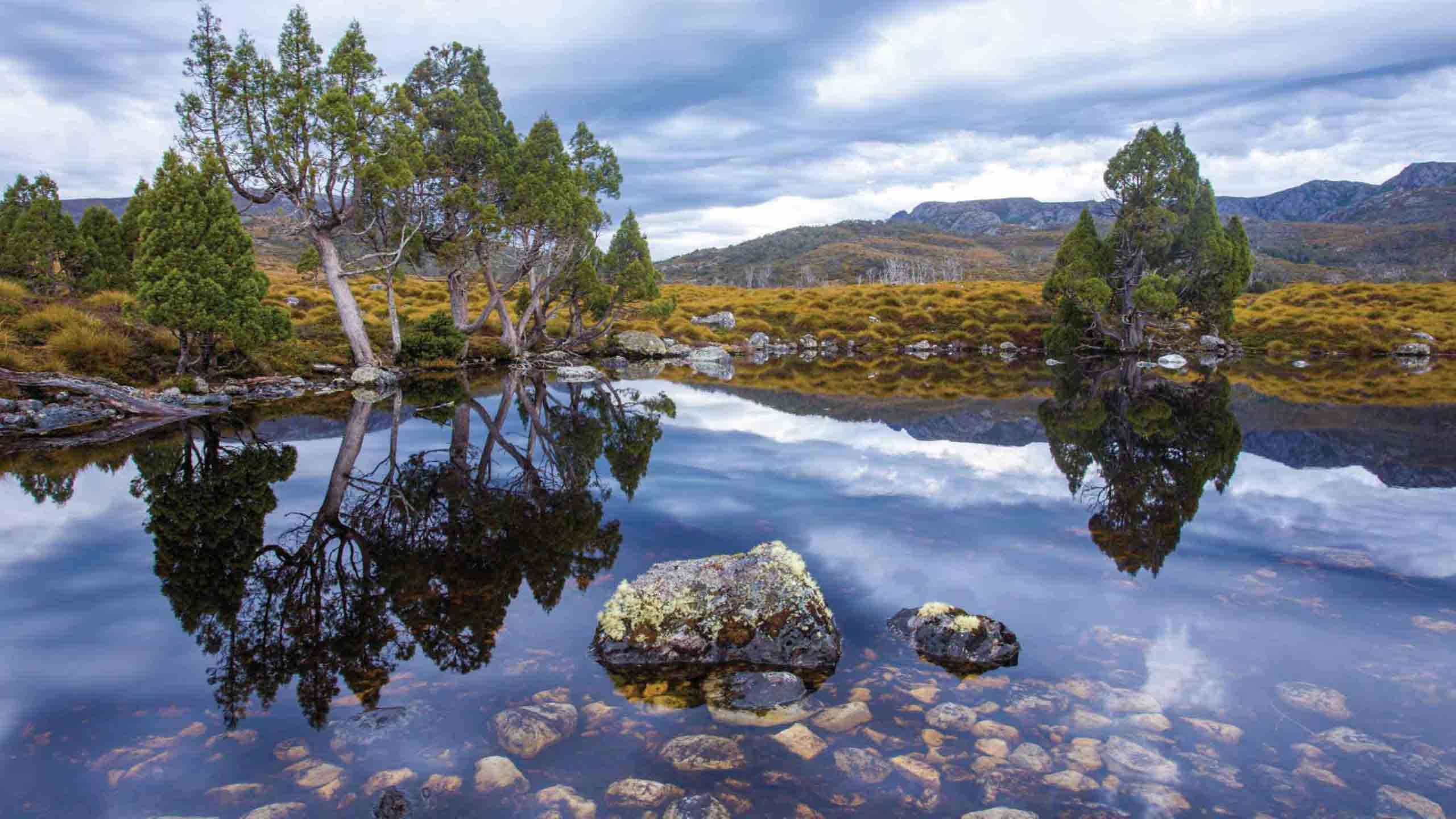 Cradle Mountain Walk In Comfort 3D2N, Fully Guided