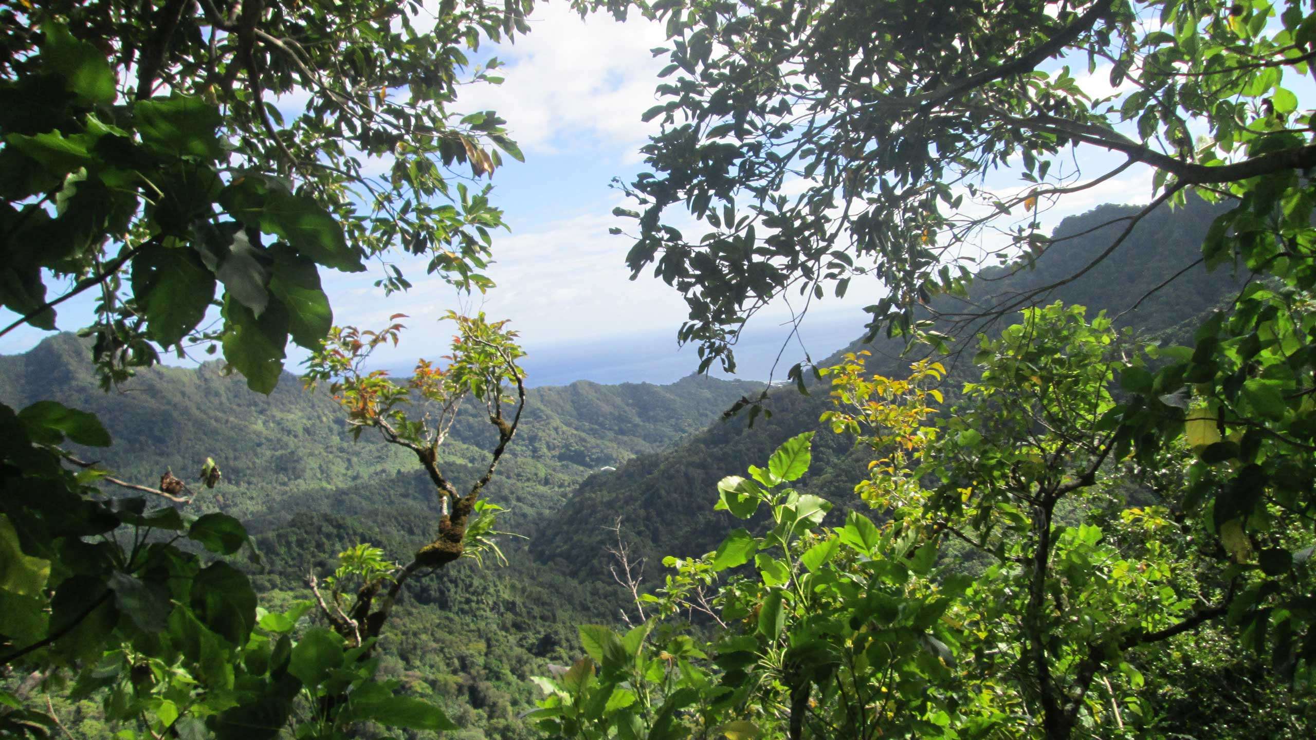 Cook Islands Active Holiday 6D5N