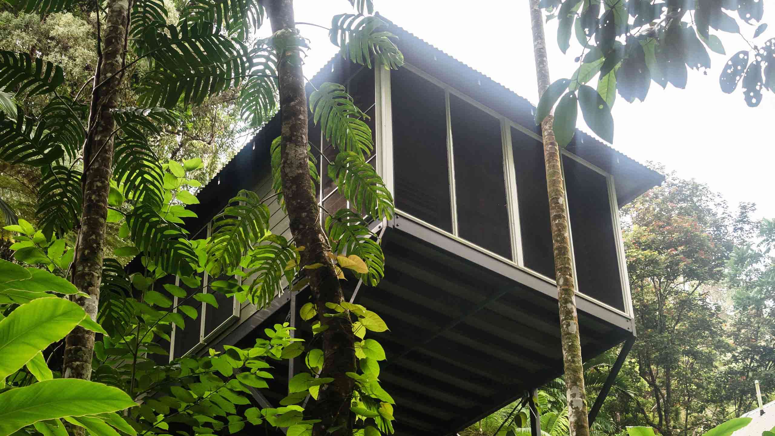 Daintree Ecolodge