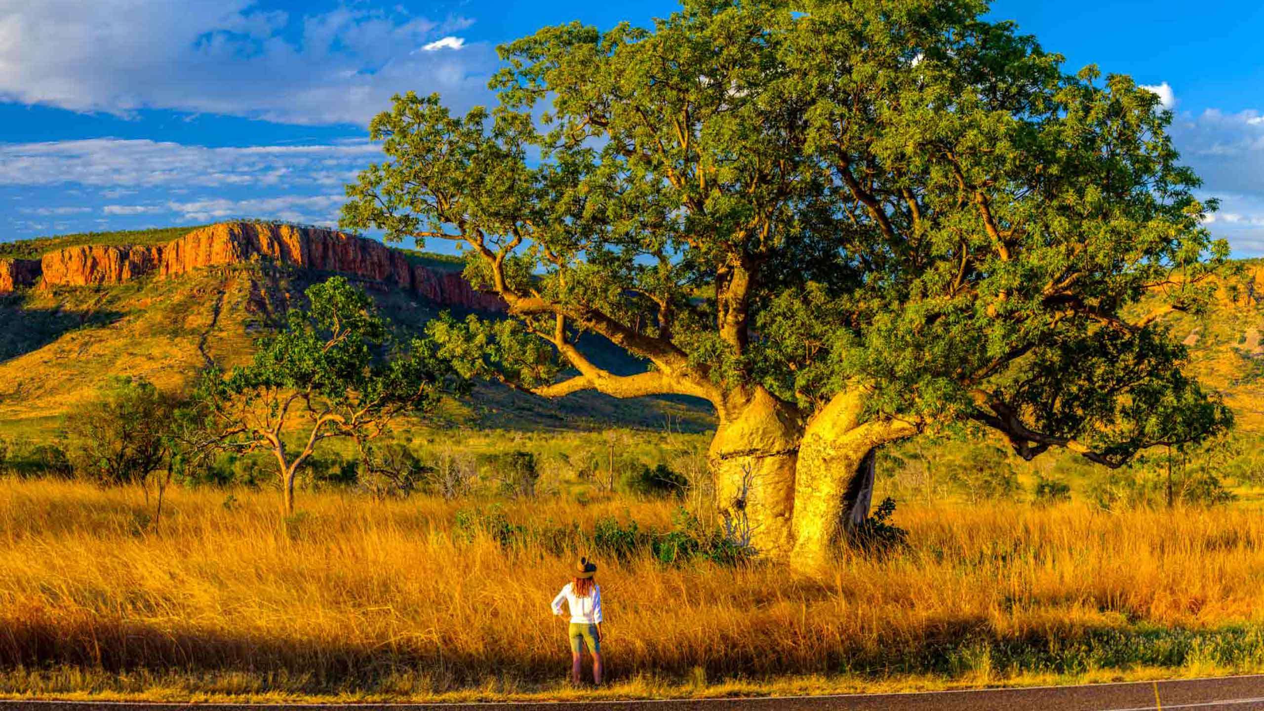 Best of East Kimberley El Questro 4D3N, Fully Guided