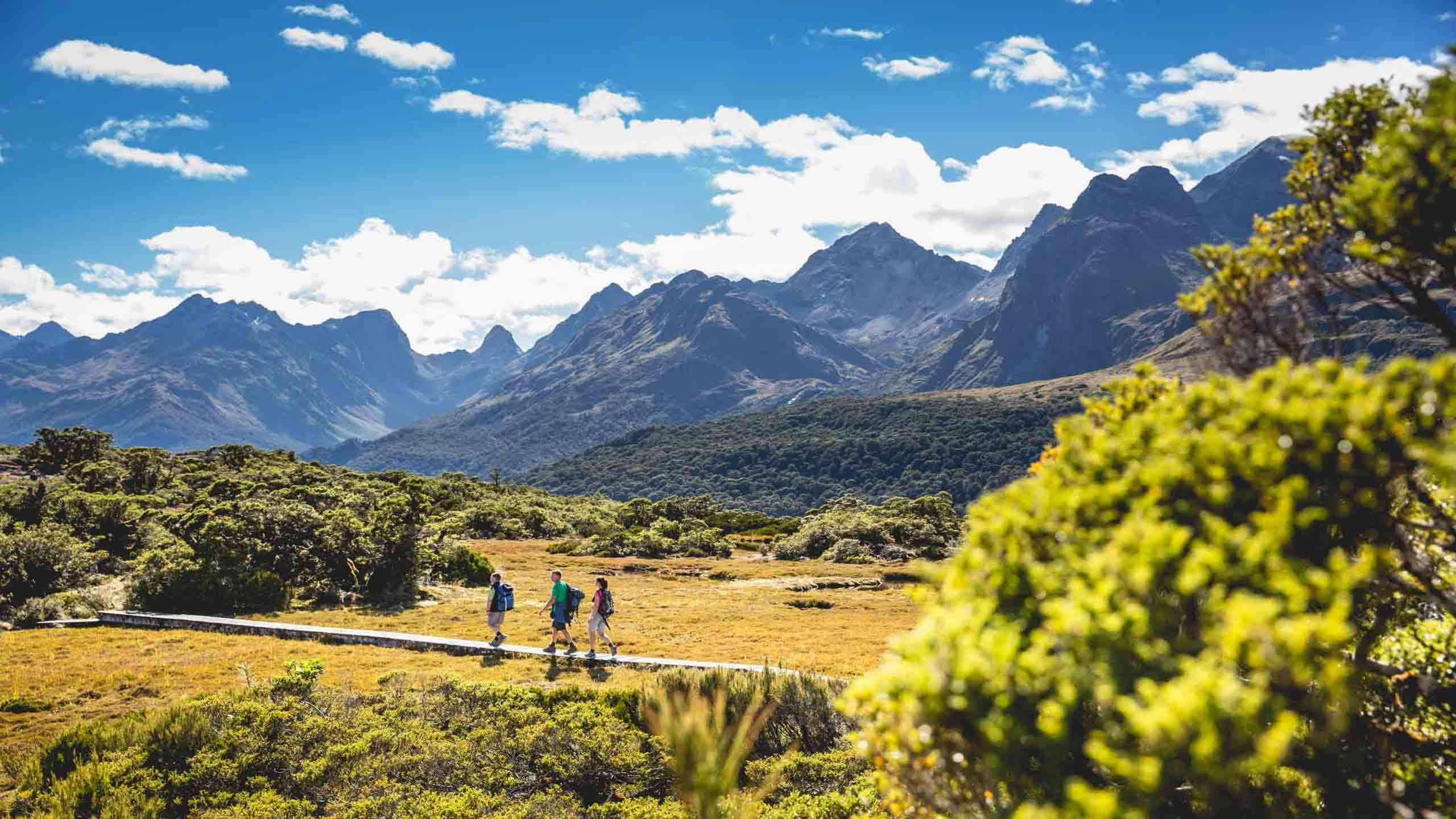 Fiordland & Milford Sound Cycle, Kayak & Walk + Milford Sound Overnight Cruise 5D4N, Fully Guided