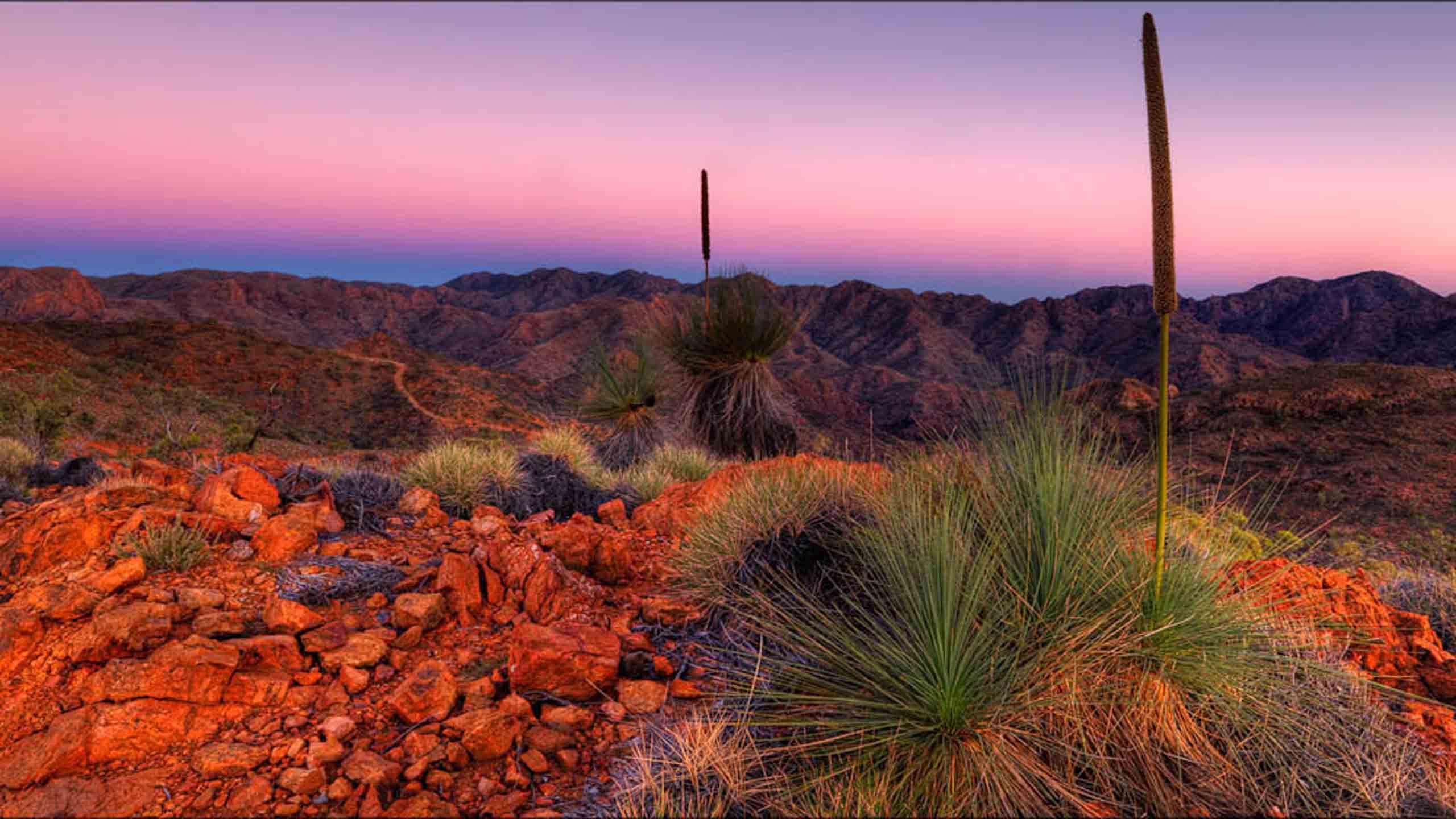 Flinders Ranges Outback Walk 5D4N, Fully Guided