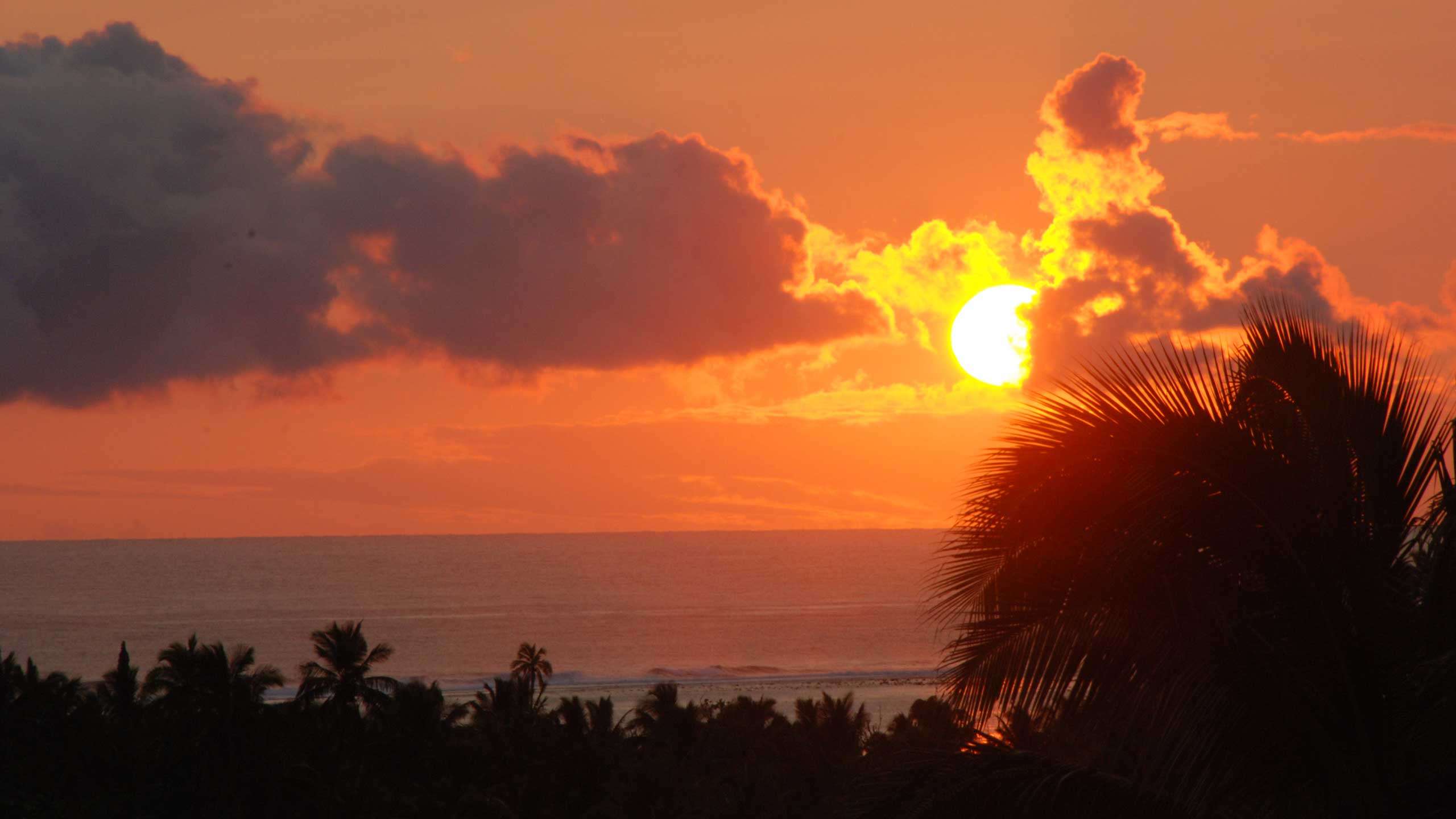 Cook Islands Luxury Culinary Adventure 6D5N