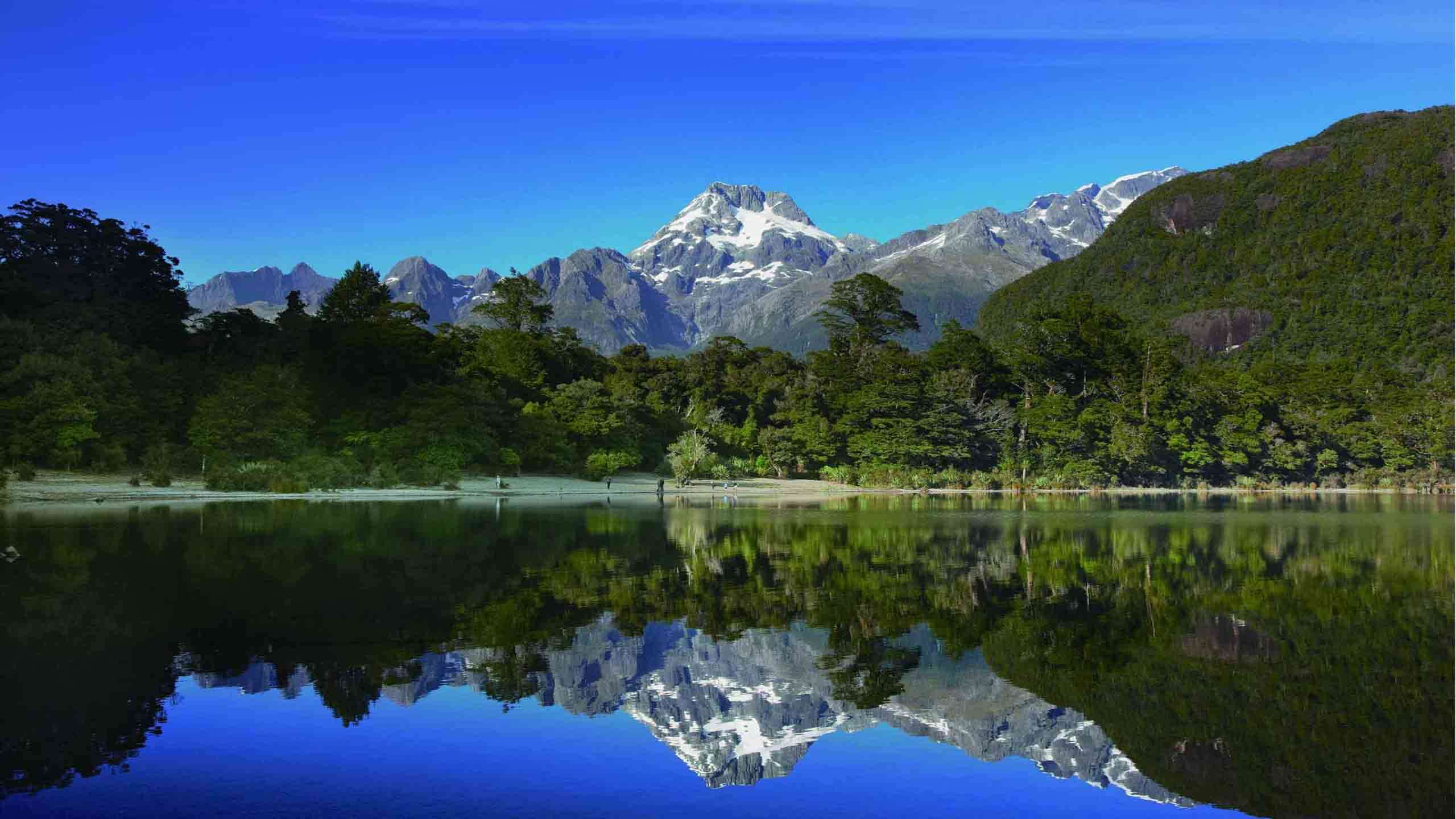 Ben Lomond, Fiordland, Stewart-Island & Hollyford Heli-Hike 7D6N, Fully Guided