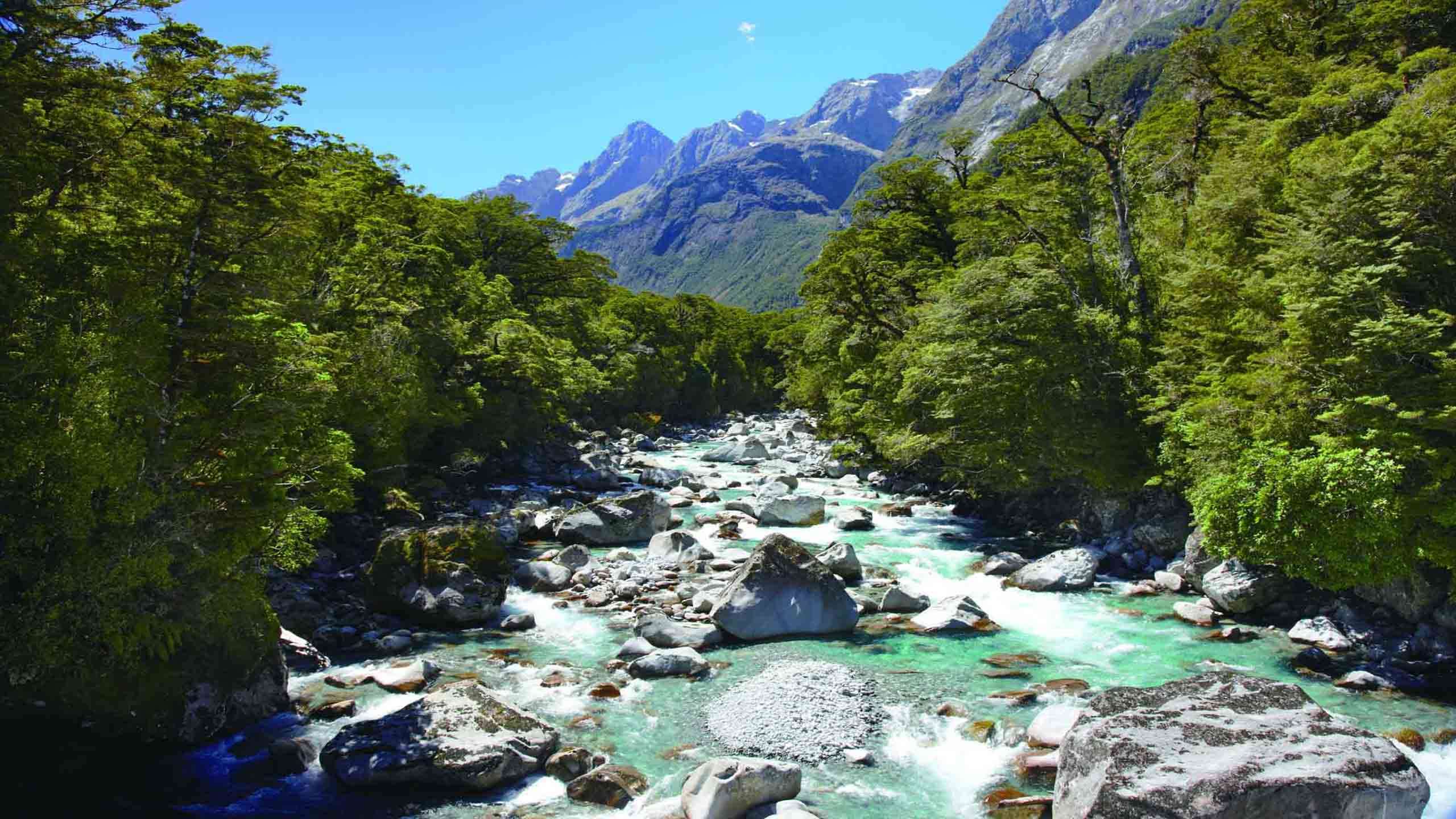 Fiordland Hollyford Track Hike & Scenic Heli Flight 4D3N, Fully Guided