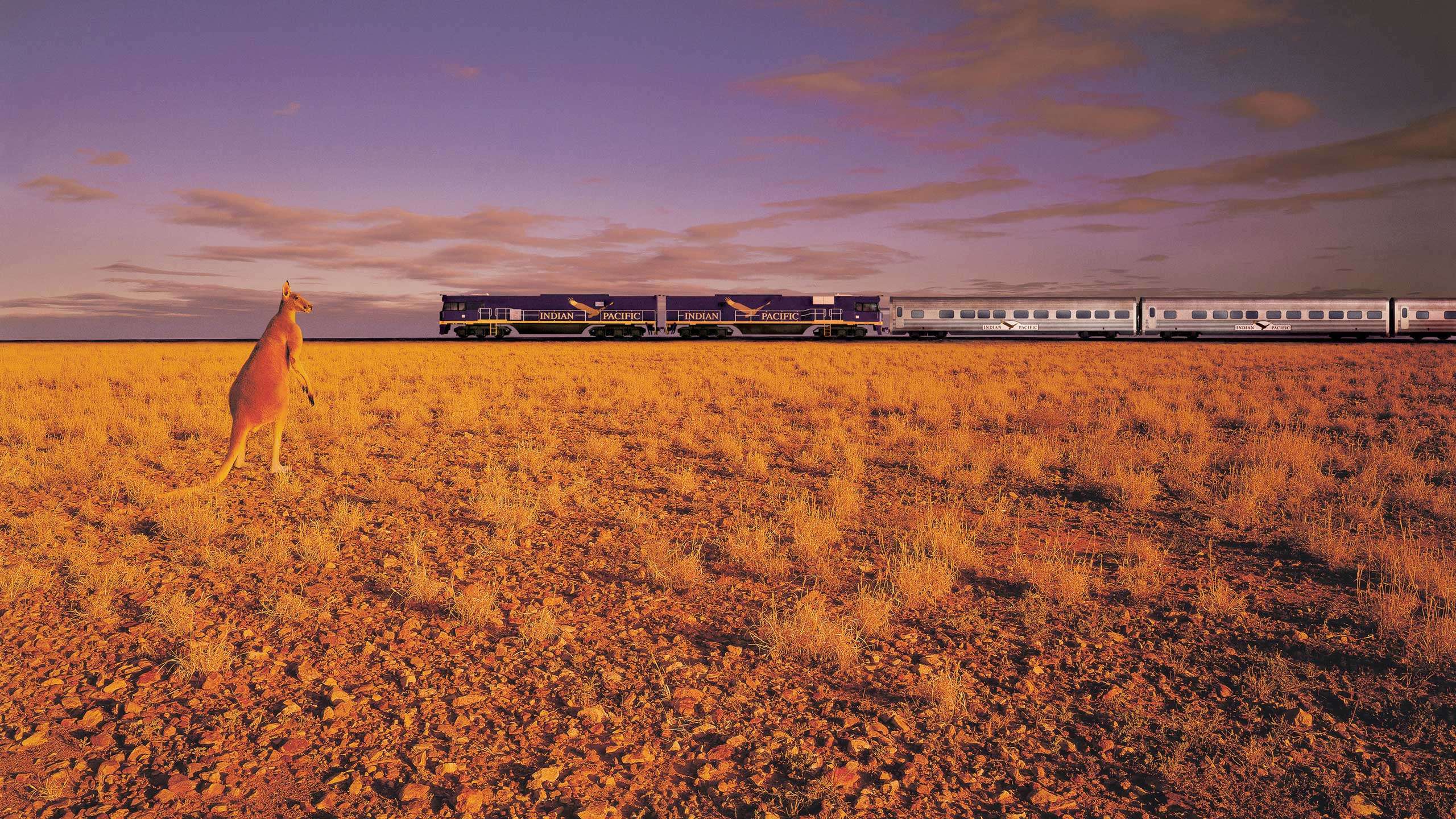 Luxury Indian Pacific Rail Journey 3D2N (Perth to Adelaide)