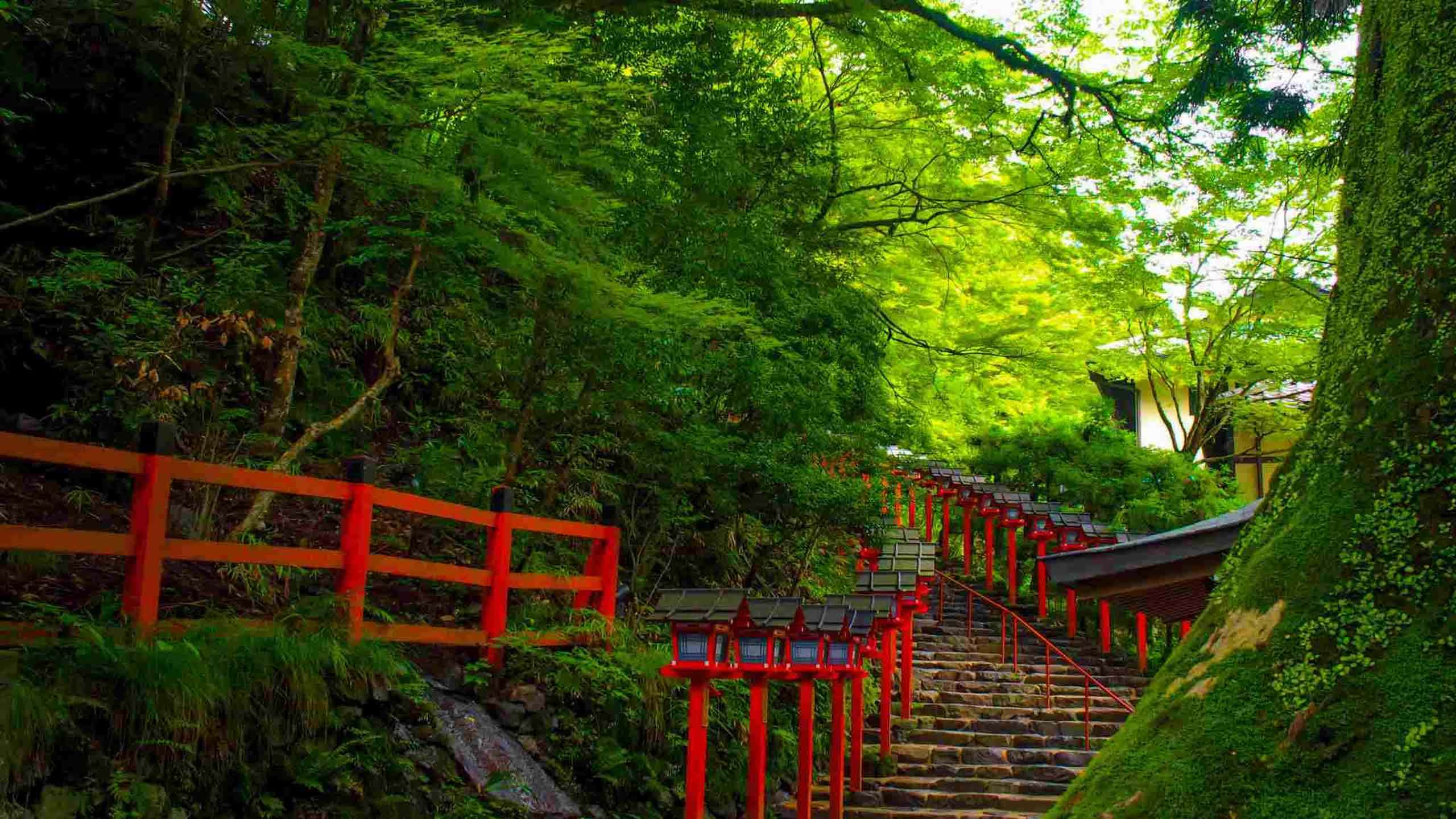 Kyoto & Nara Explorer Cycle & Walk 5D4N, Self Guided (with Support Vehicle)