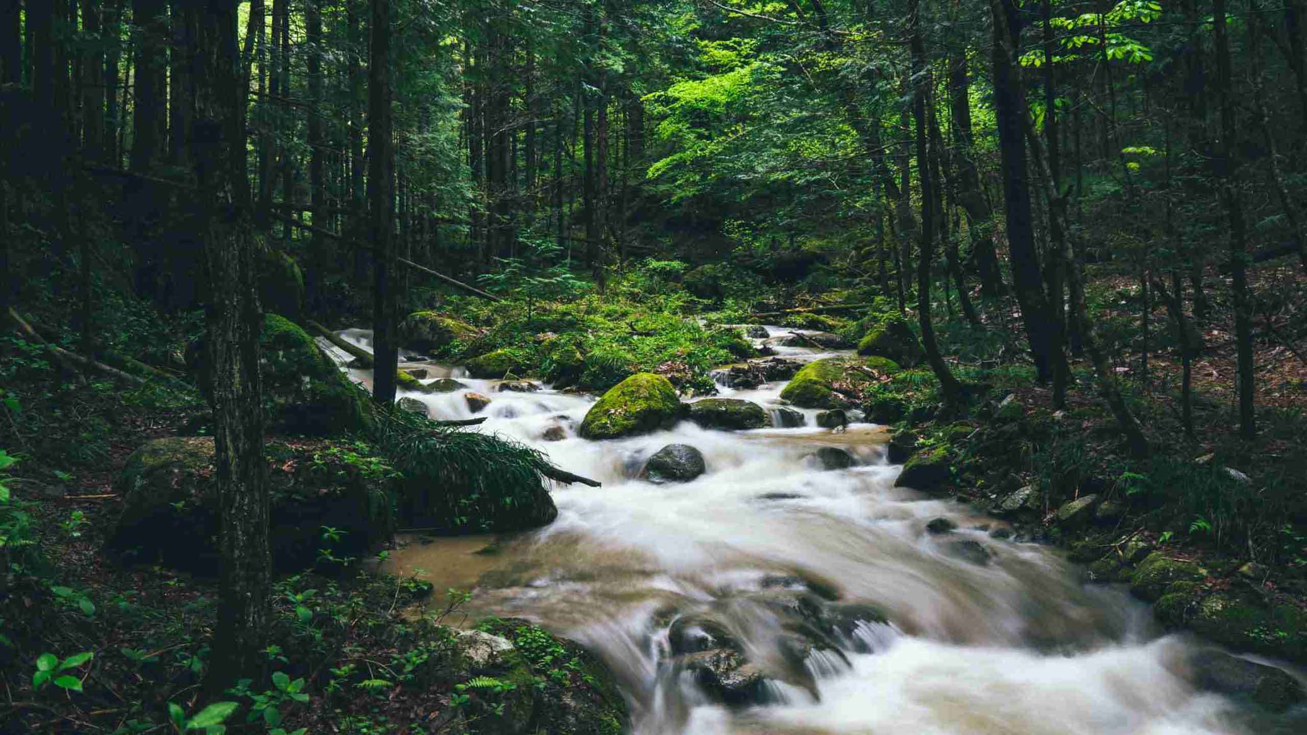 Classic Nakasendo Trail Walk 4D3N, Partial Guided