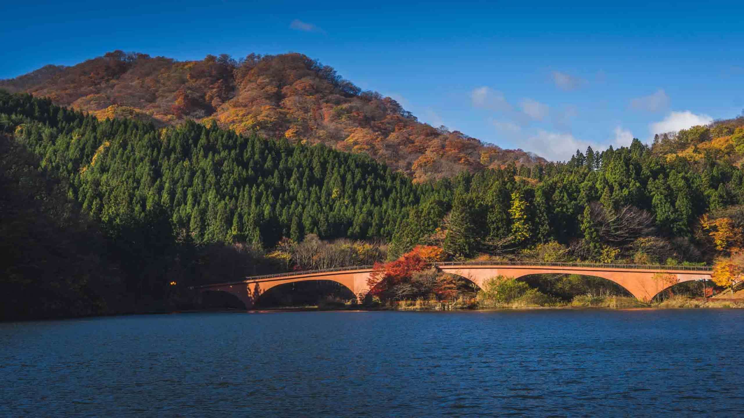 Best of Nakasendo Trail Village to Village Walk (Inc. Usui-toge Pass) 4D3N, Fully Guided