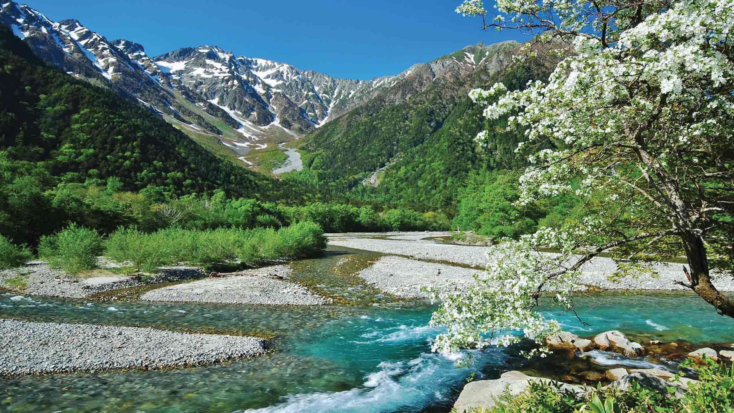 Best of Kamikochi & Alps Walk 2D1N, Fully Guided