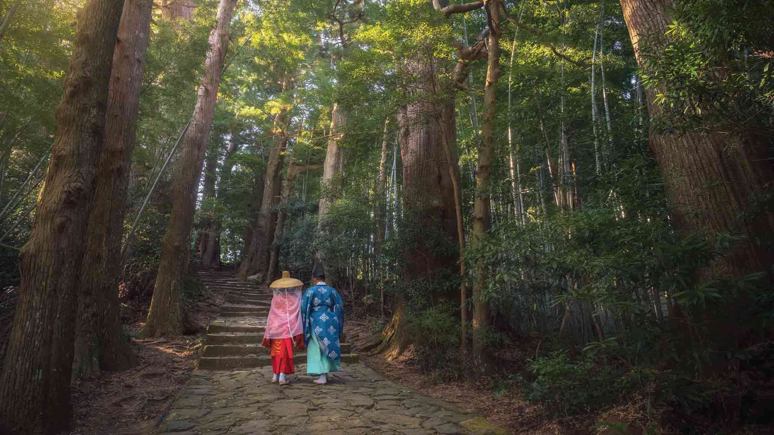 Kumano Kodo Luxury Walk In Comfort Mountain to Sea 3D2N, Self Guided