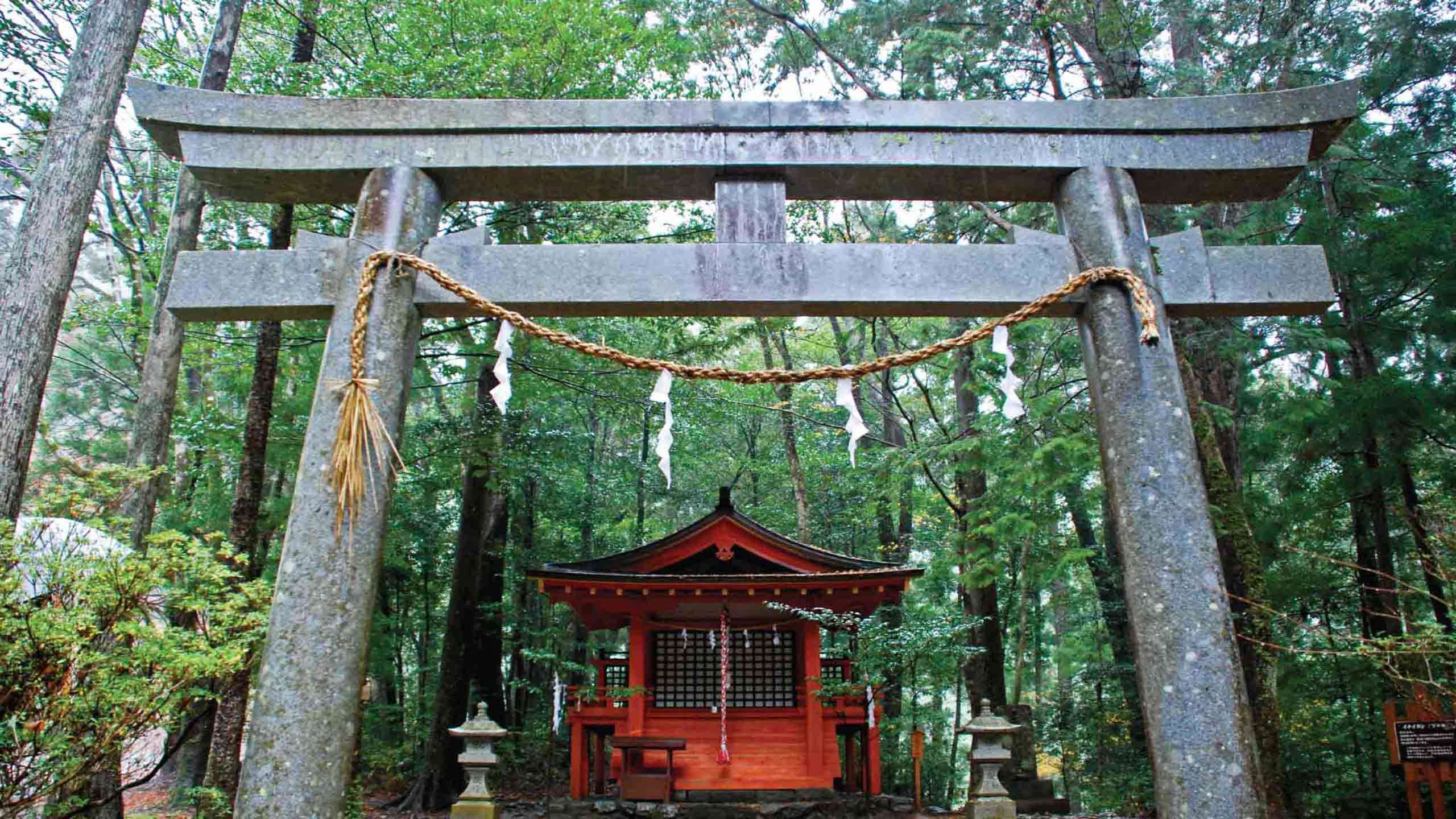 Kumano Kodo Grand Traverse Mountain to Sea 6D5N (Inc. Kogumotori-goe & Ogumotori-goe), Private Guided