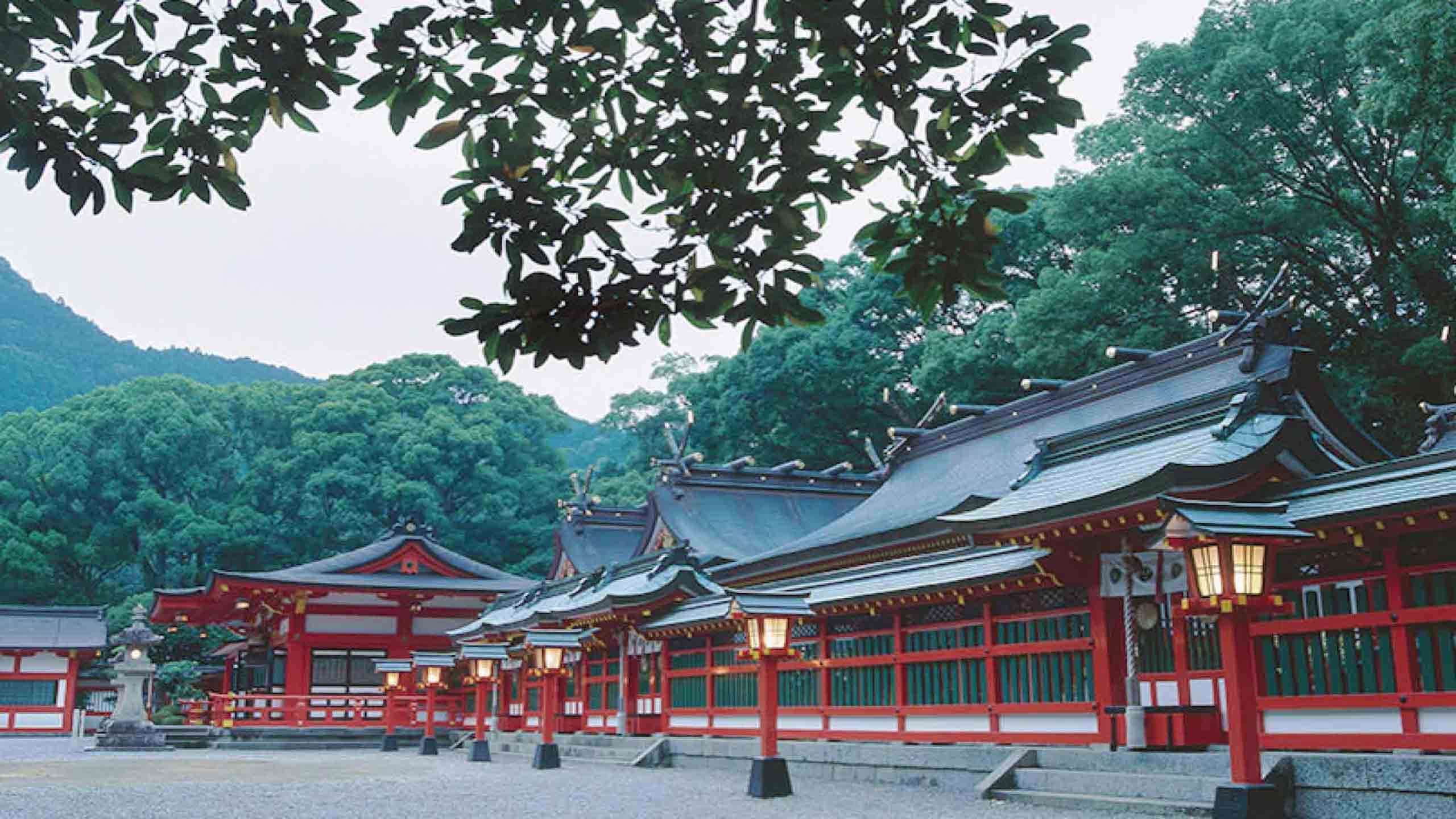 Best of Kumano Kodo Mountain to Sea Walk & Cruise 5D4N, Private Guided