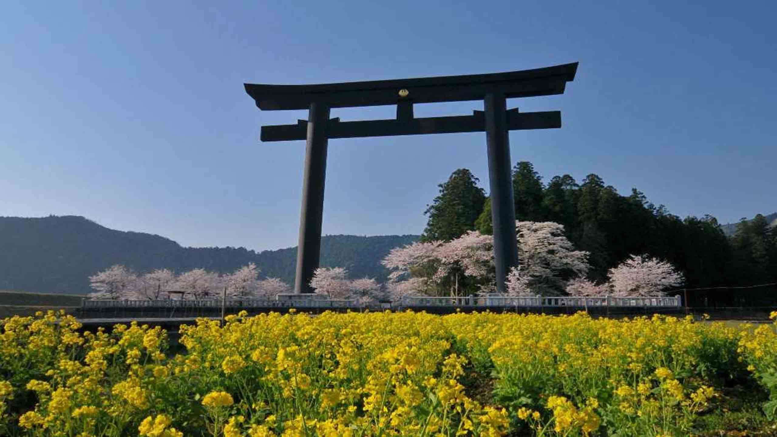 Classic Kumano Kodo Inn to Inn Walk 4D3N, Private Guided