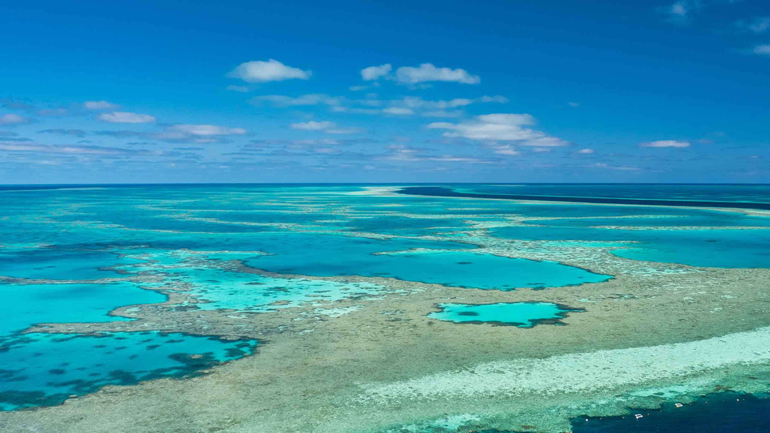 Luxury Whitsundays Rail & Reef Family Adventure 6D5N