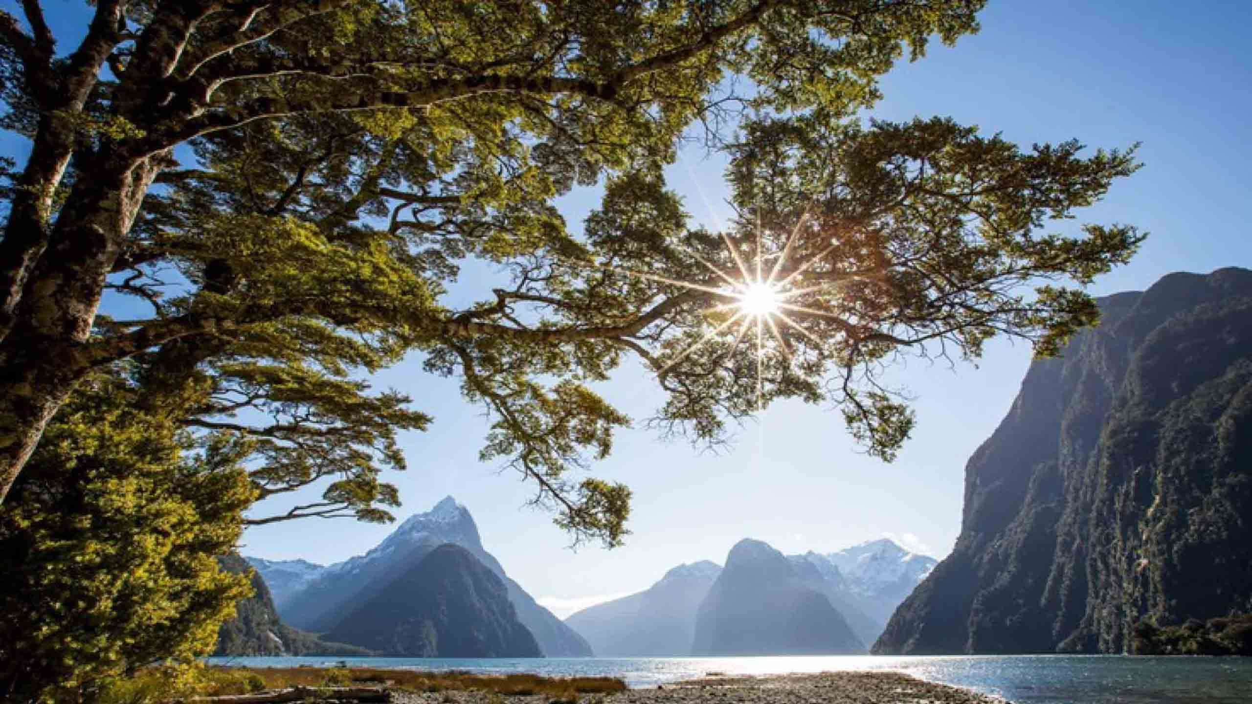 The Ultimate Luxury Fiordland Walk - Three Tracks, Milford Luxury Overnight Cruise & Heli Hike 4D3N, Fully Guided