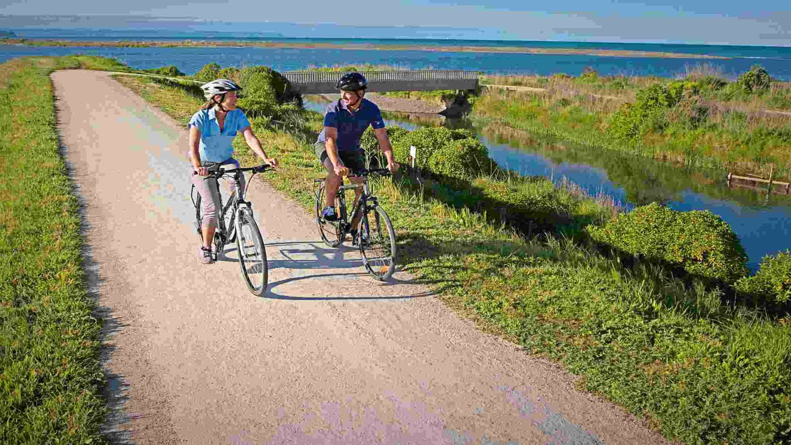 Hawke's Bay Trails Cycling In Comfort Deluxe 3D2N, Self Guided