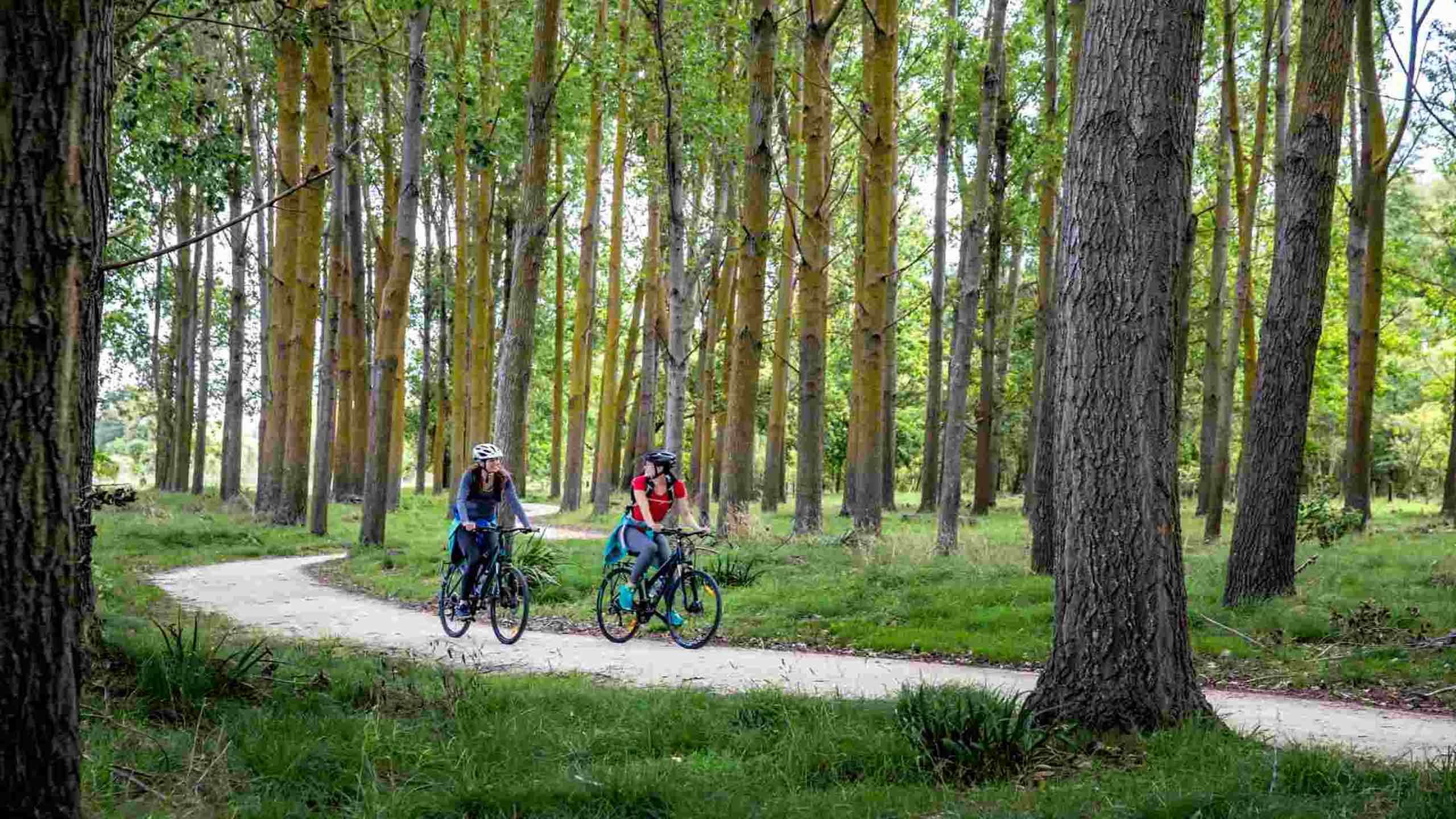 Hawke's Bay Trails Luxury Cycling 4D3N With Gastronomic Experiences, Self Guided