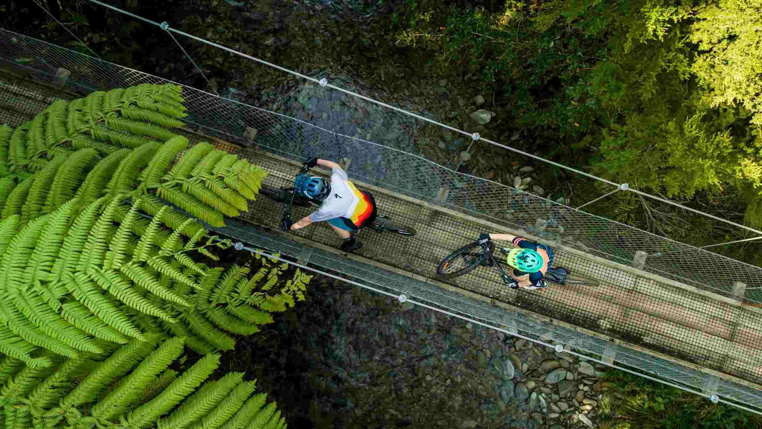 Queen Charlotte Track Trio Adventure Walk, Cycle & Kayak 3D2N, Partially Guided