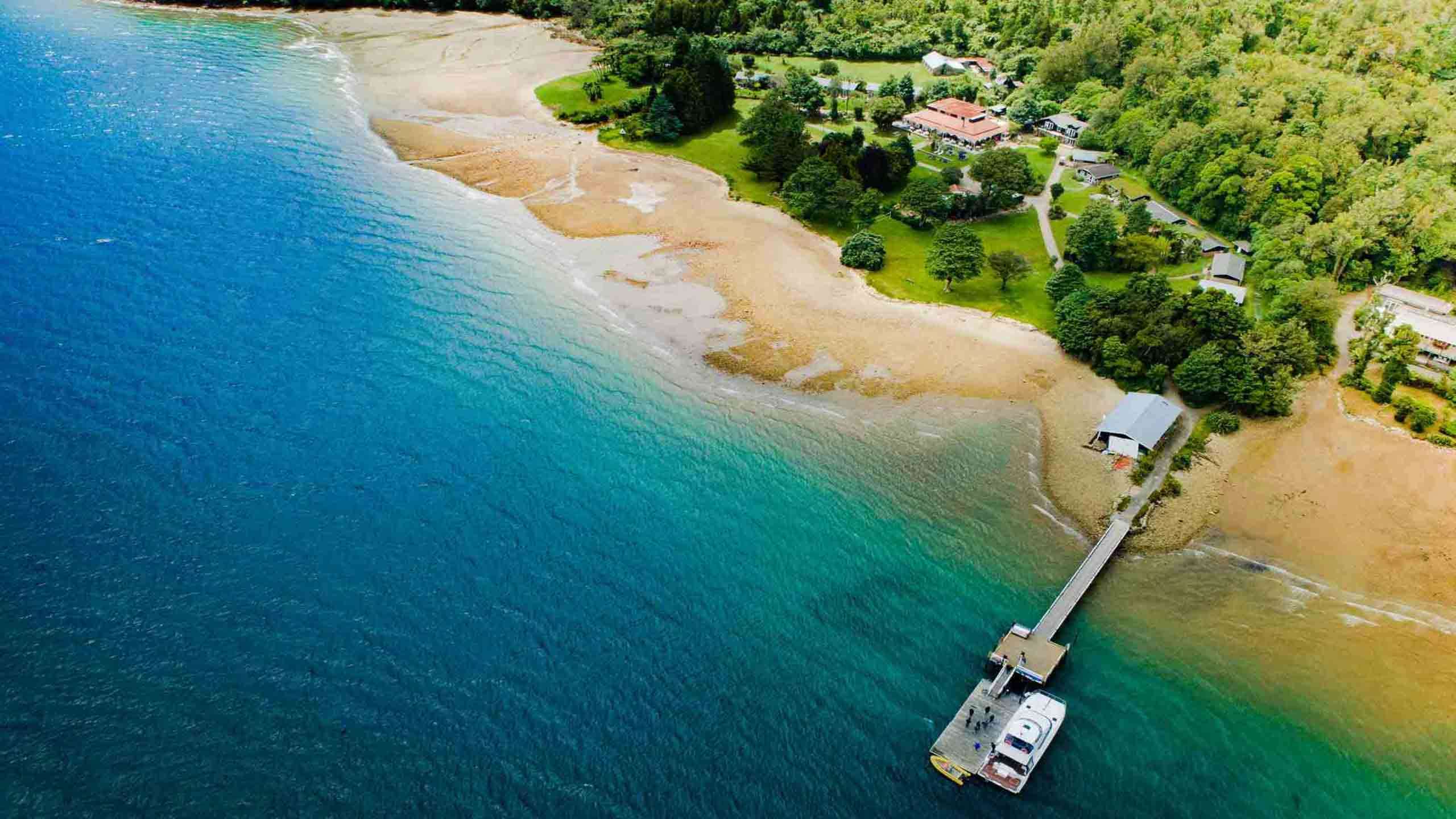 Queen Charlotte Track 'Lodge to Lodge' Walk 5D4N, Fully Guided