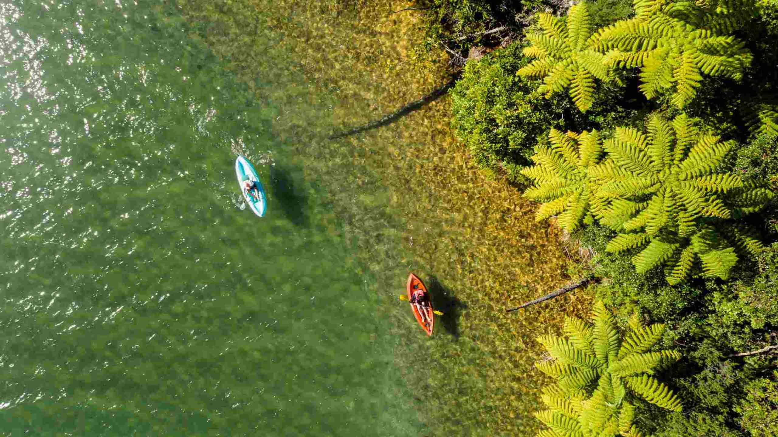Queen Charlotte Track Classic Walk & Kayak 4D3N, Fully Guided