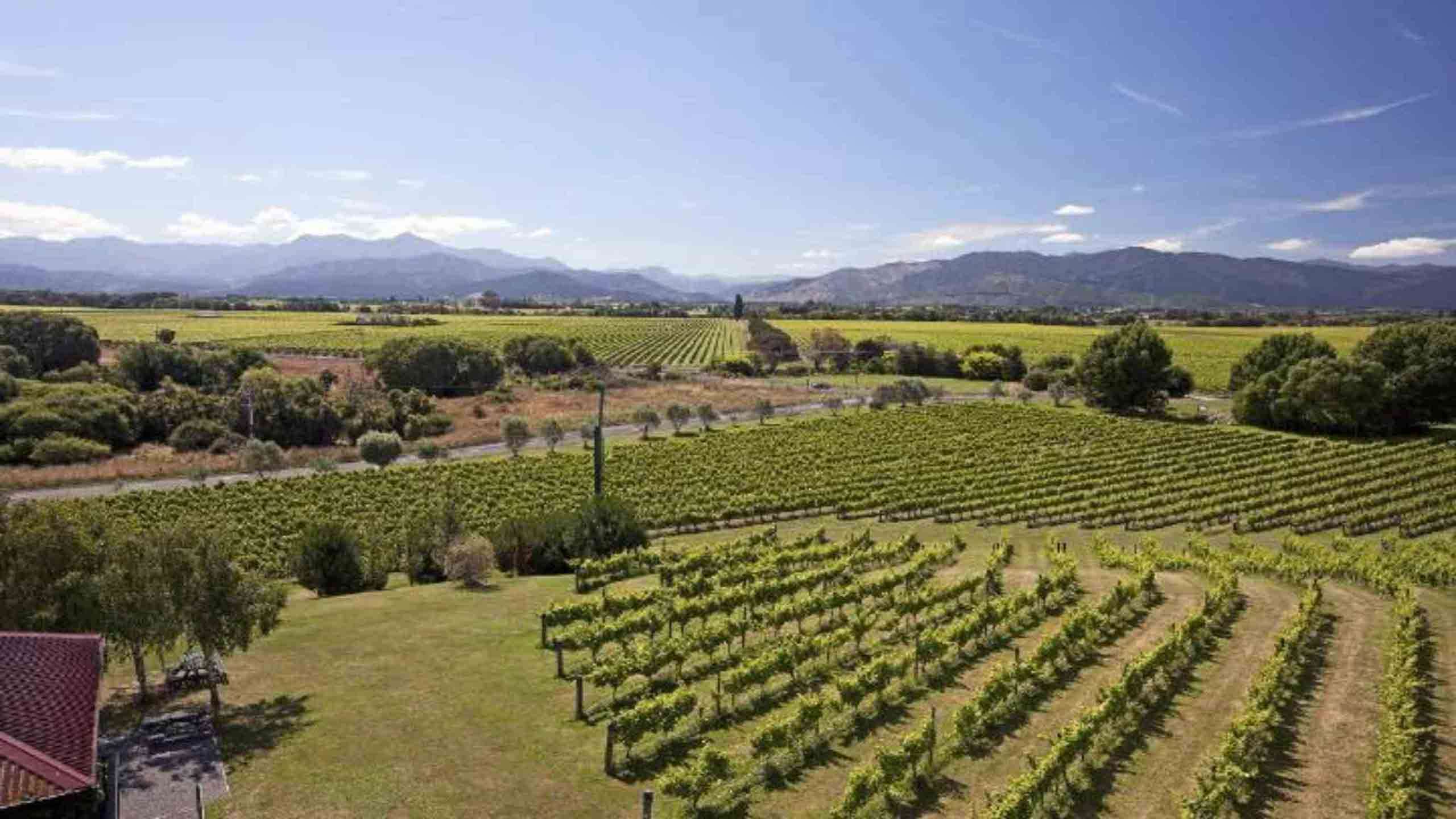 Best of North Island Gourmet Walk 6D5N, Fully Guided