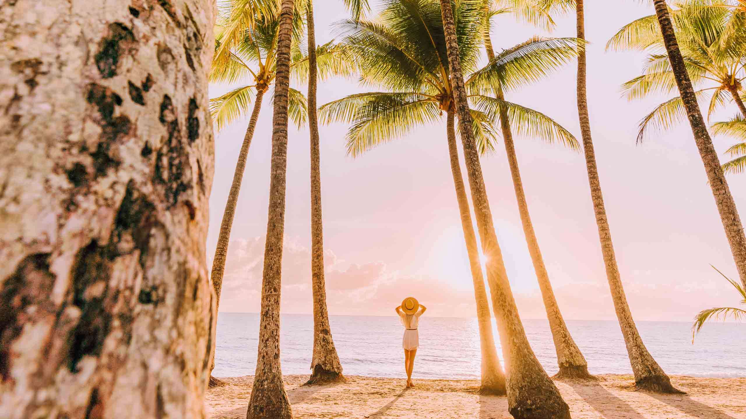 Luxury Palm Cove Wellness Retreat + The Reef House 4D3N