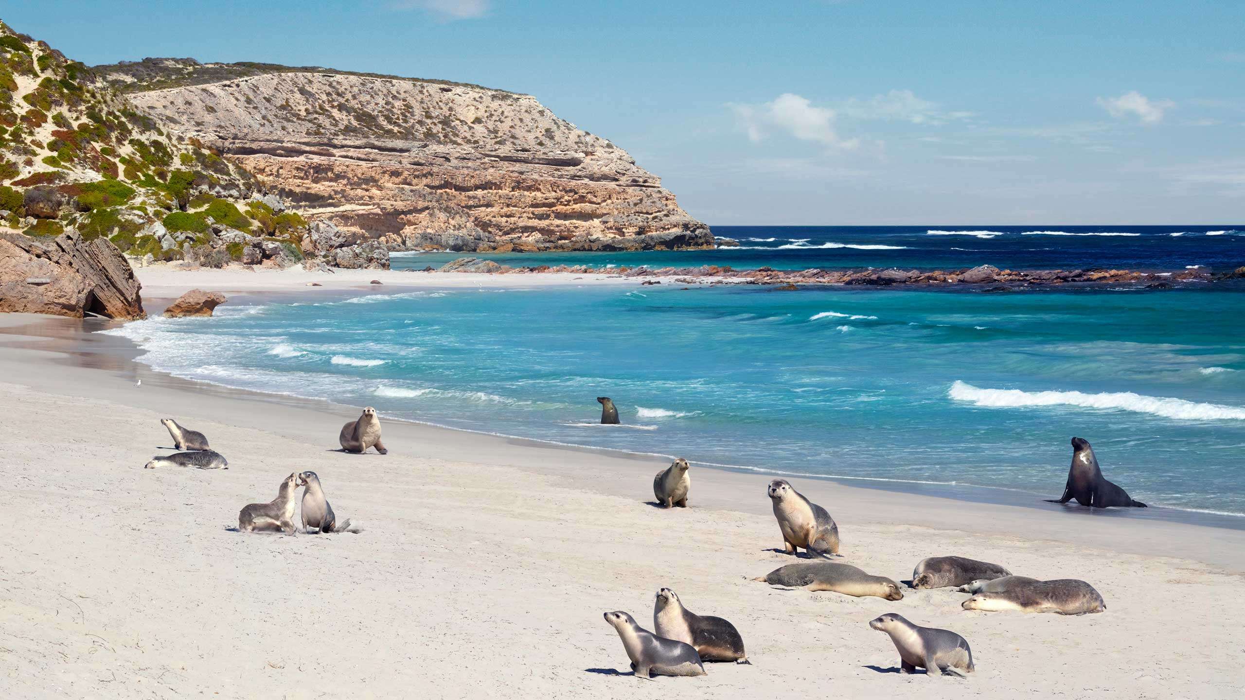 Kangaroo Island Active Explorer 3D2N, Private Guided