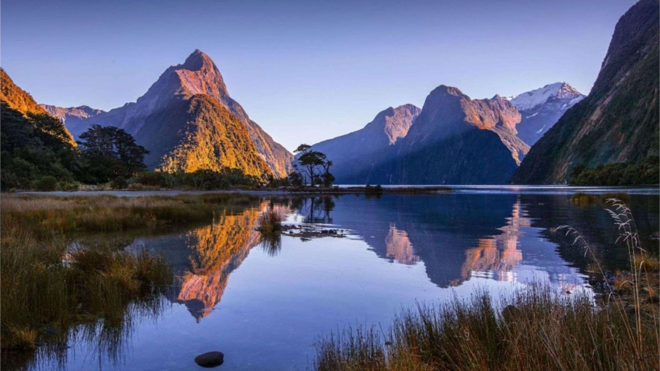 South Coast to Fiordland (Wellington - Milford) 9D8N