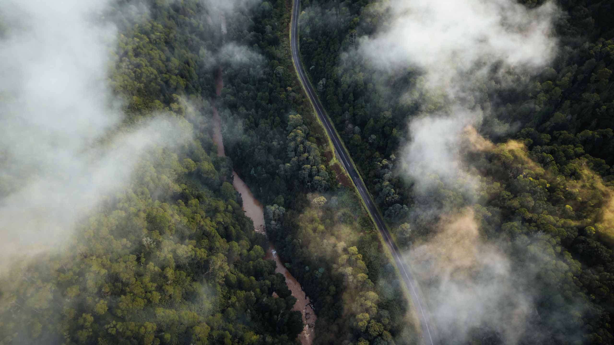 Tasmania Tarkine Wilderness Walk & Cruise 5D4N, Fully Guided