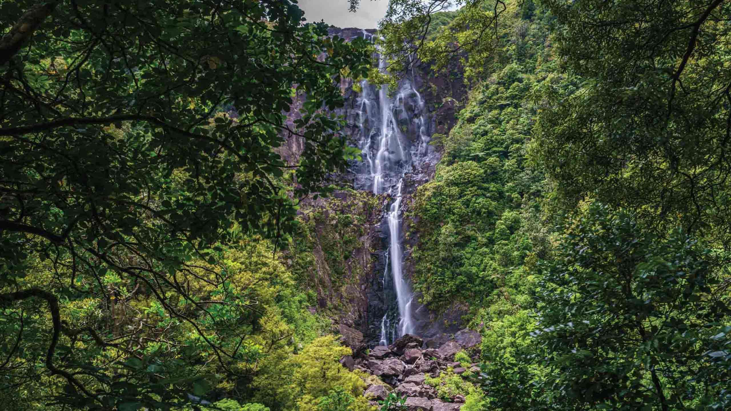 The Coromandel Gourmet Walk in Comfort 3D2N, Fully Guided