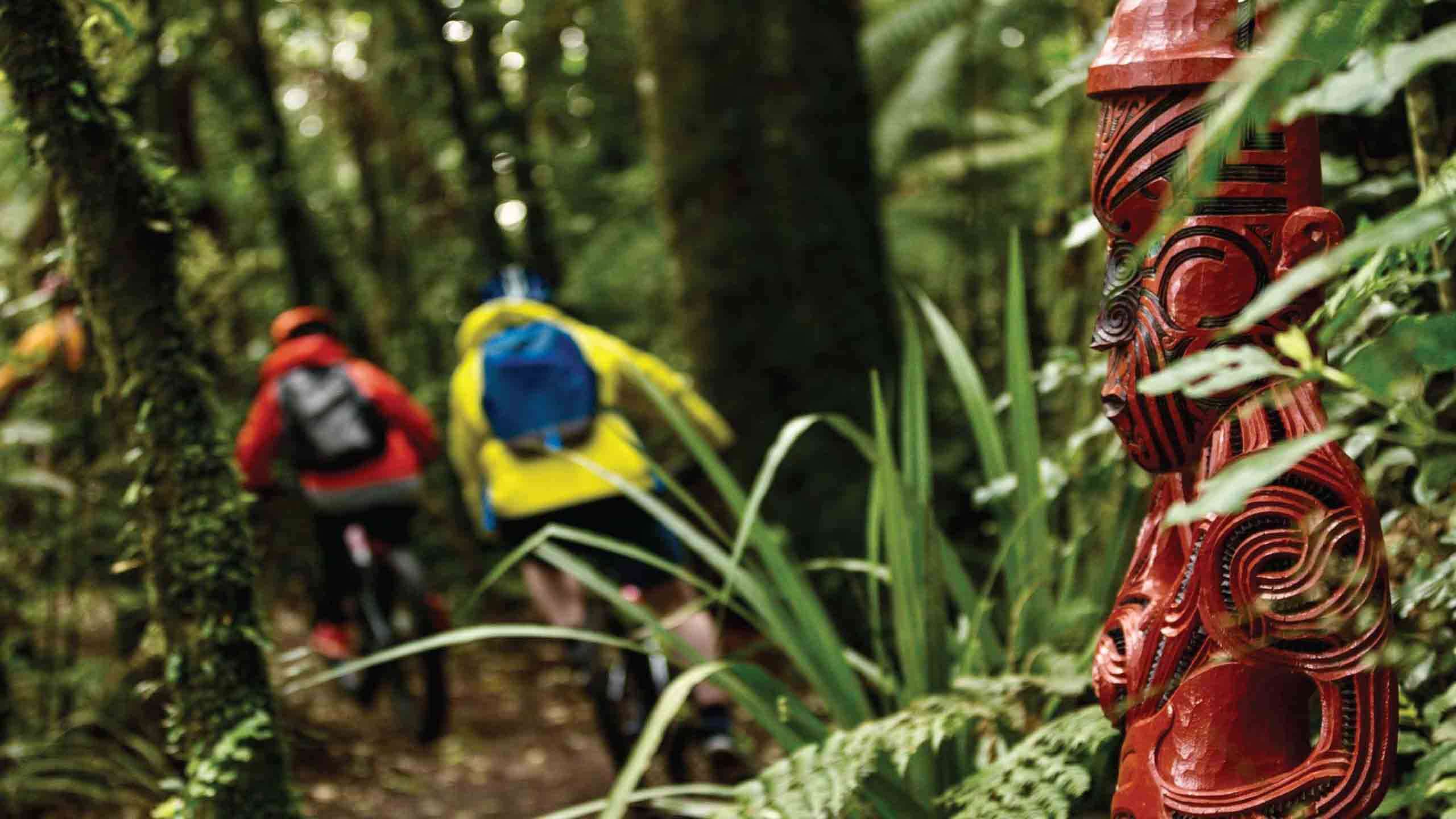 The Timber Trail End to End Epic Ride 3D2N, Fully Guided