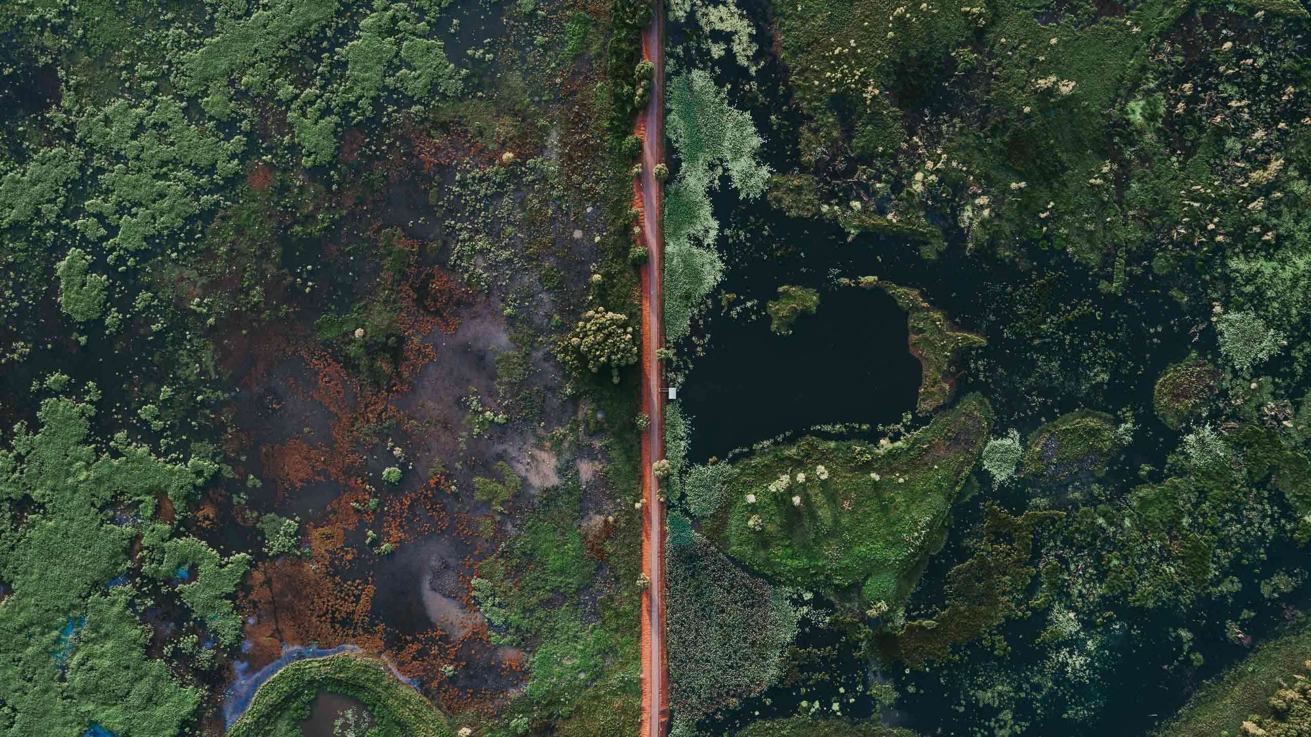 Ultimate Top End Immersion 7D6N (Kakadu, Katherine & Litchfield), Private Guided