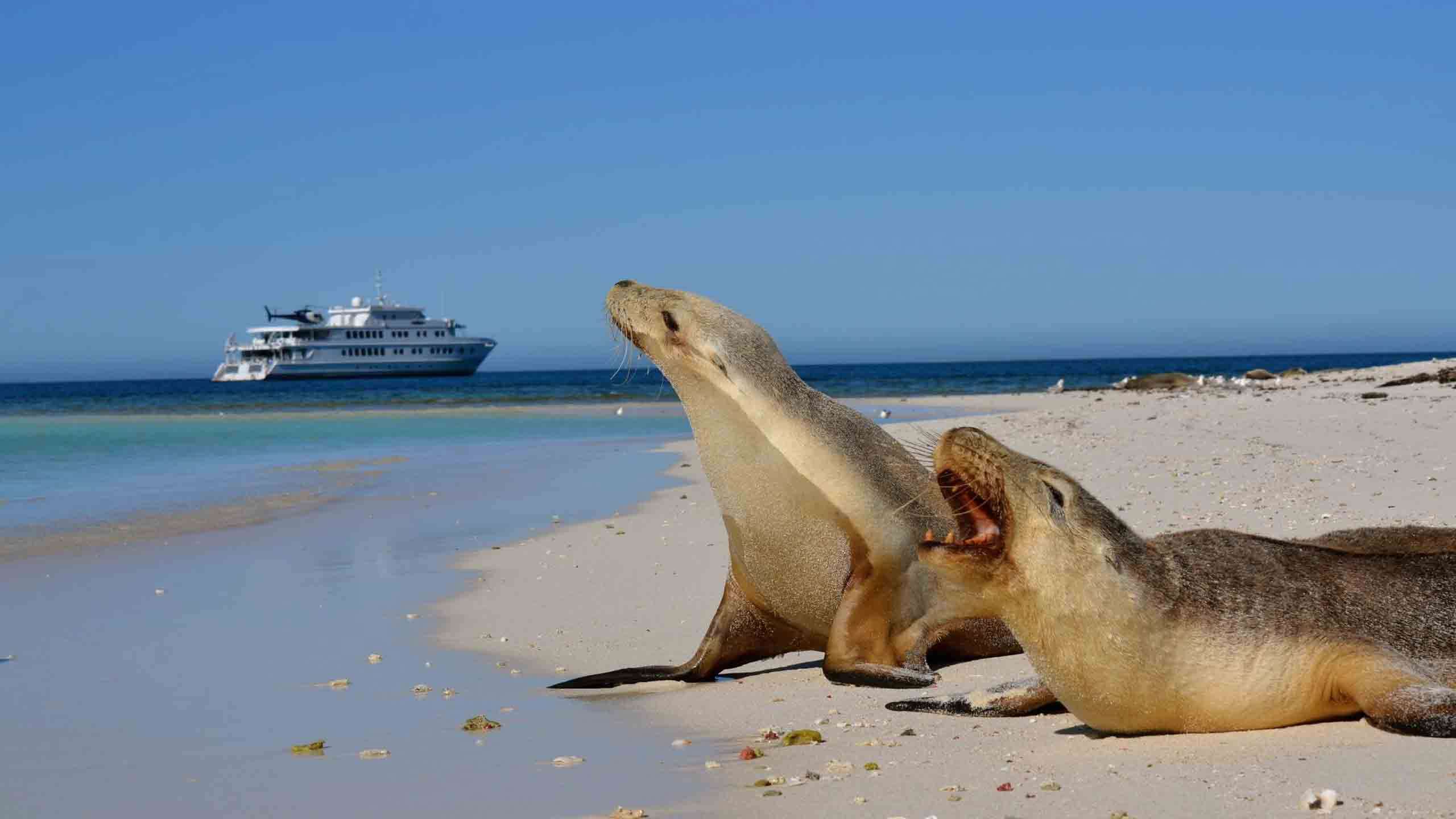 Southern Coastal Safari 9D8N