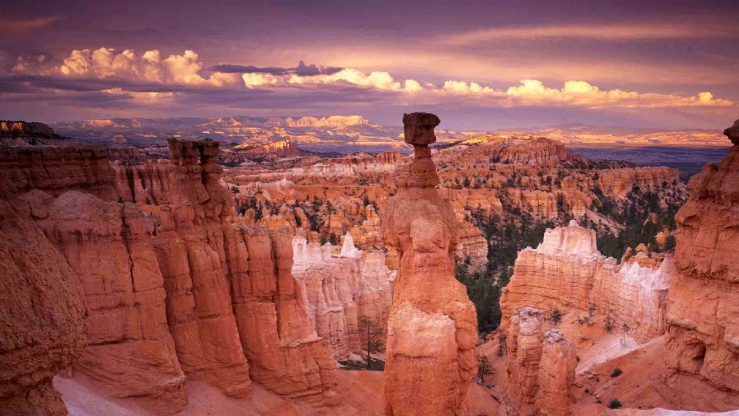 Grand Canyon, Bryce & Zion National Parks 8D7N, Fully Guided